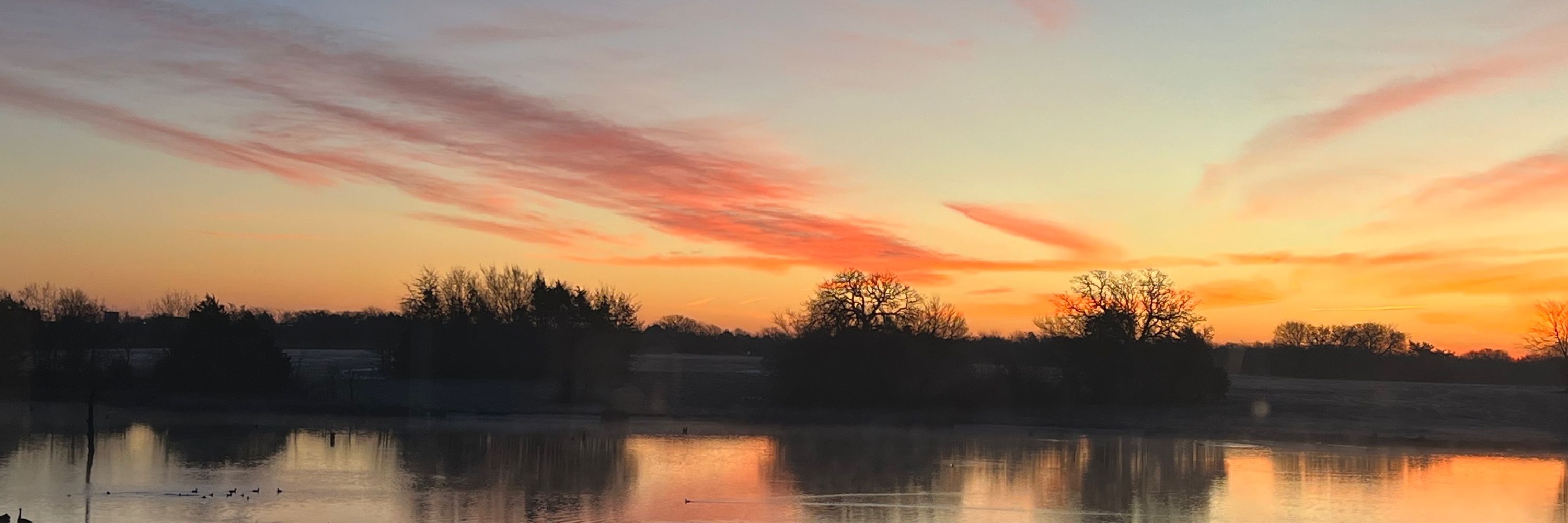 Dawn