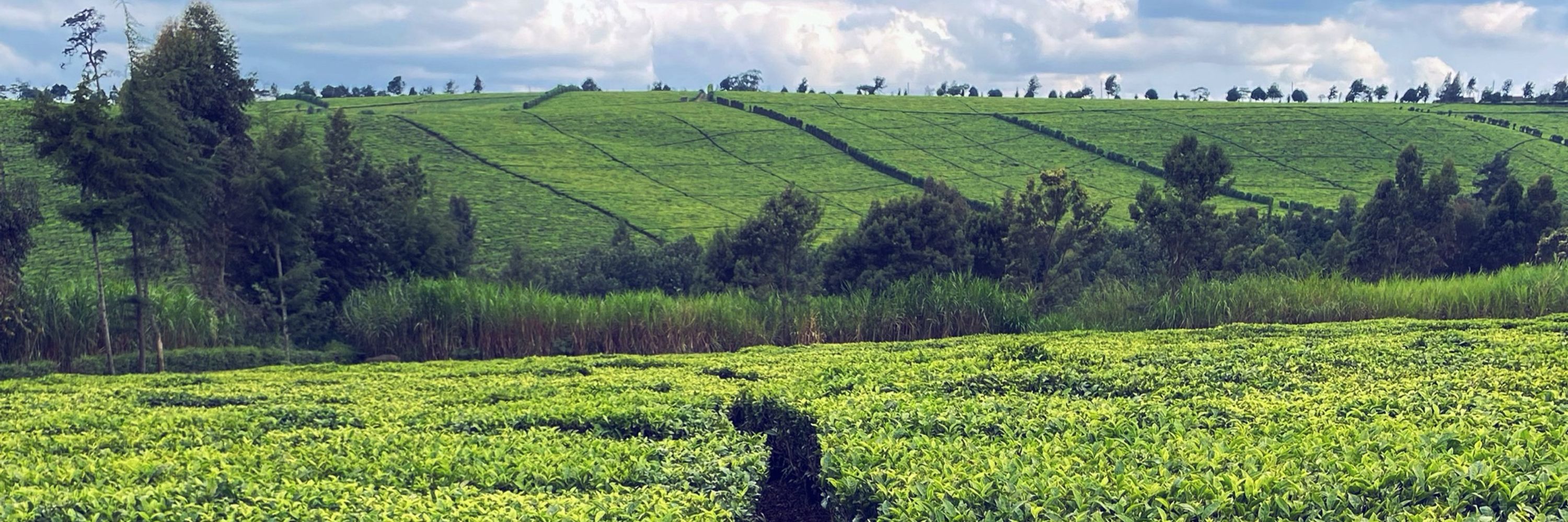  Agrobiodiverse