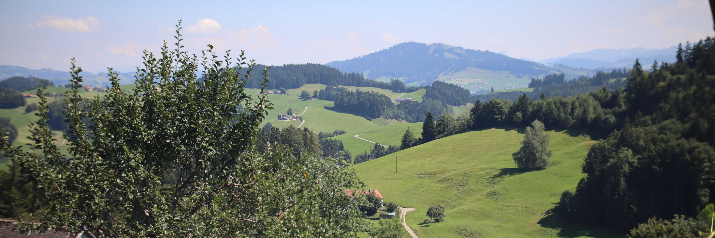 Urs Baumann 
