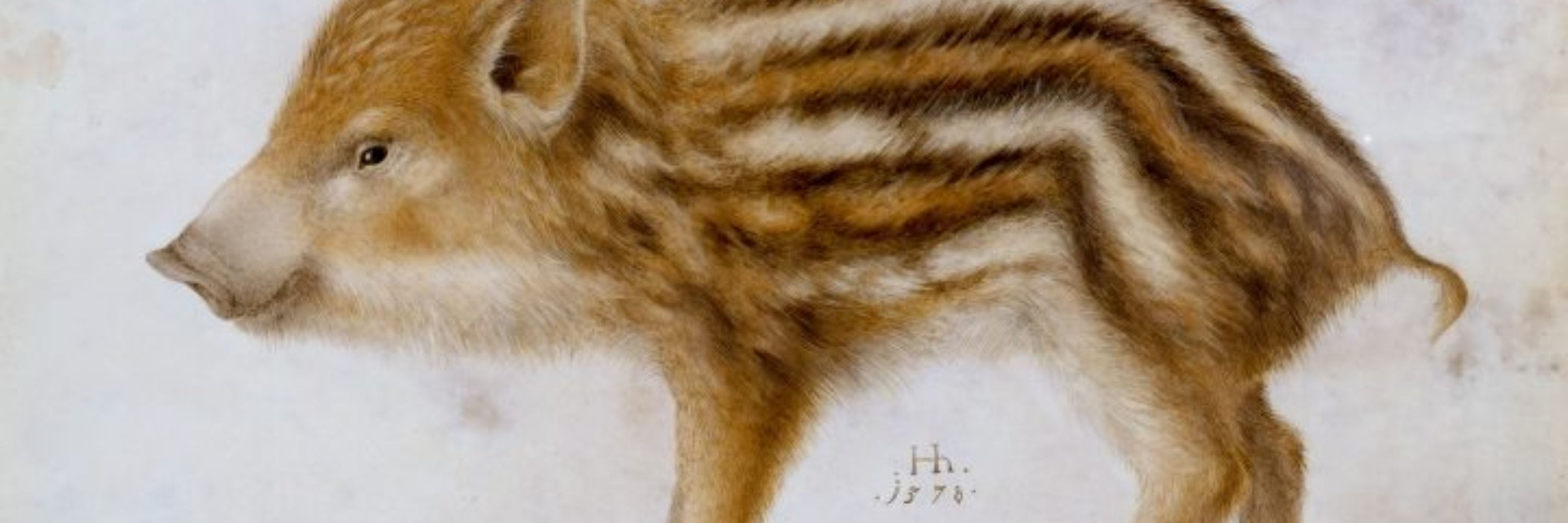 BOAR (algo)