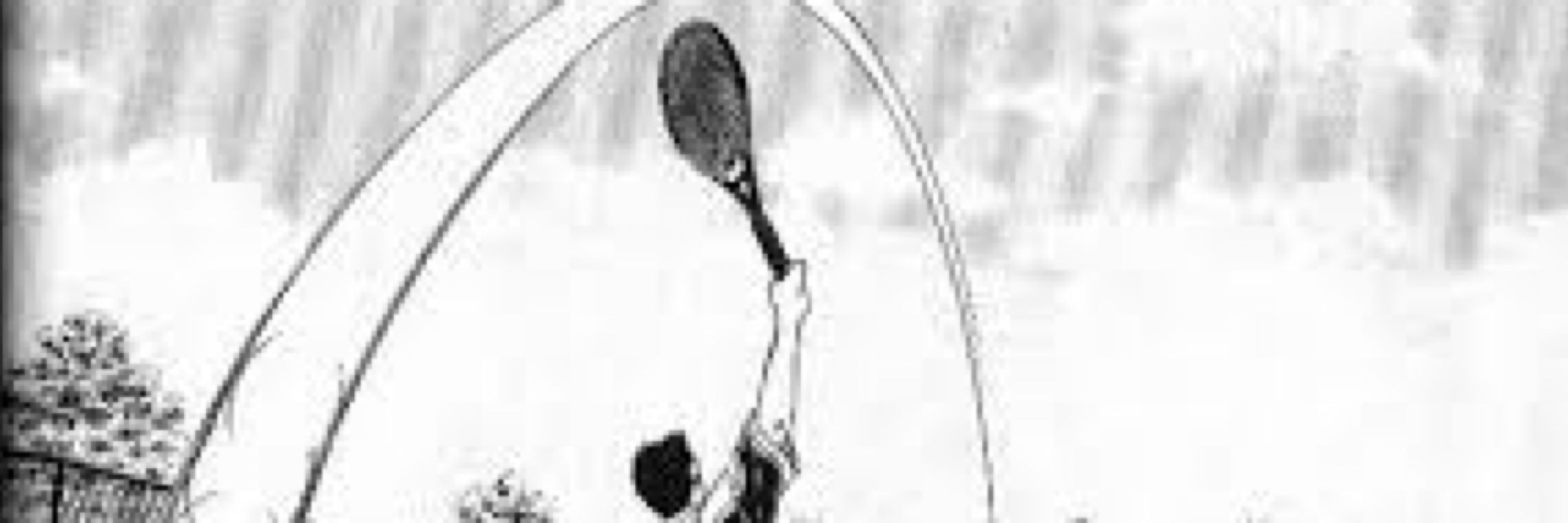 ムーン🌙ボレー🎾