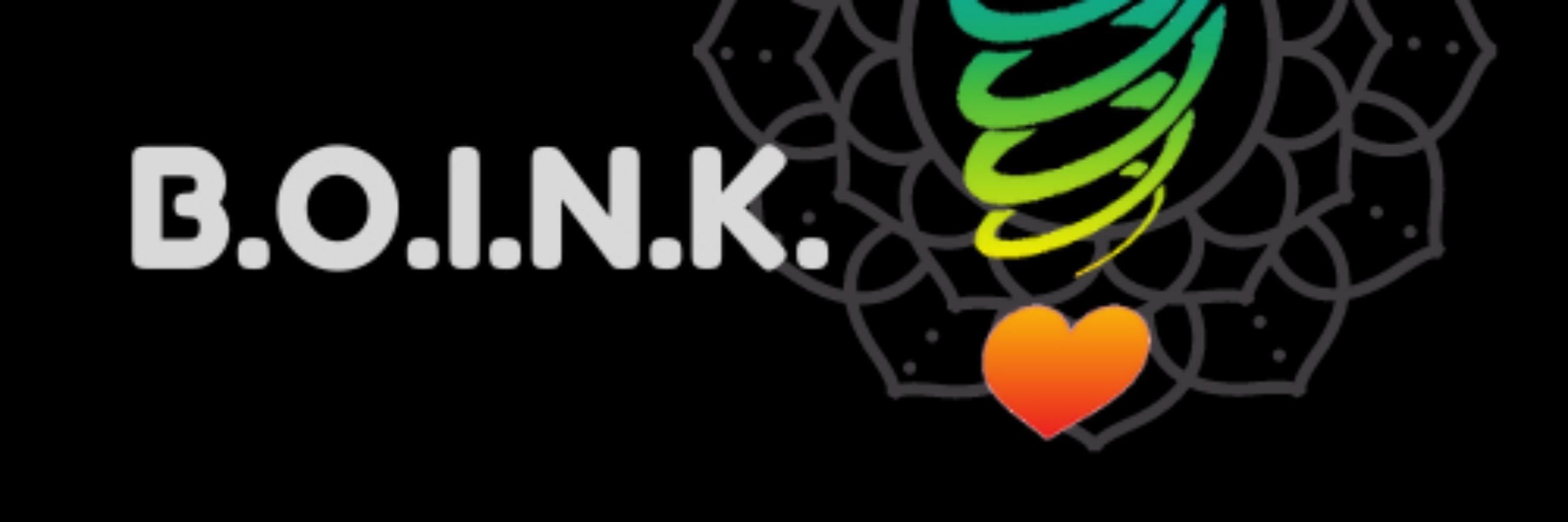 B.O.I.N.K. LLC
