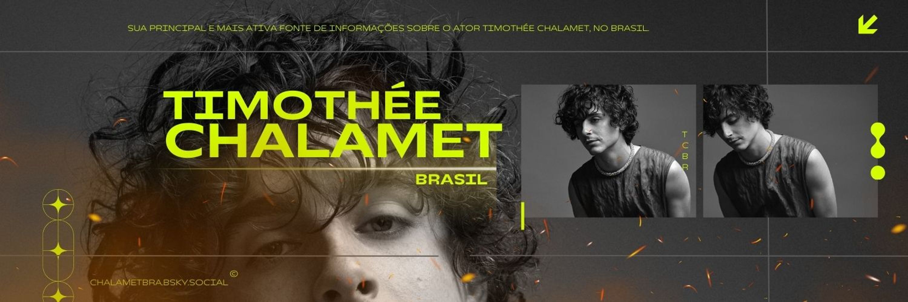 Timothée Chalamet Brasil