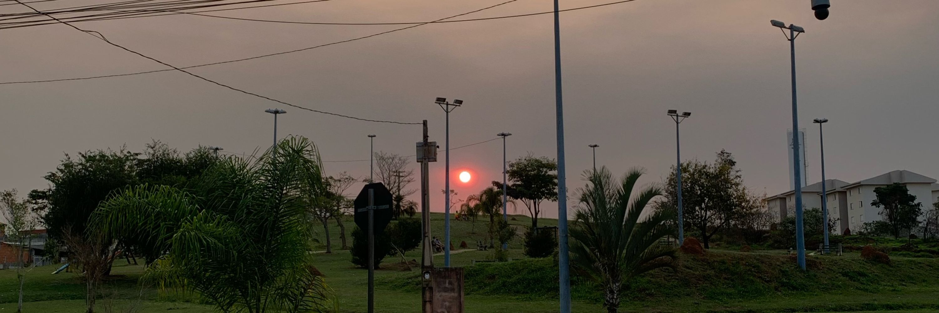 bárbara 