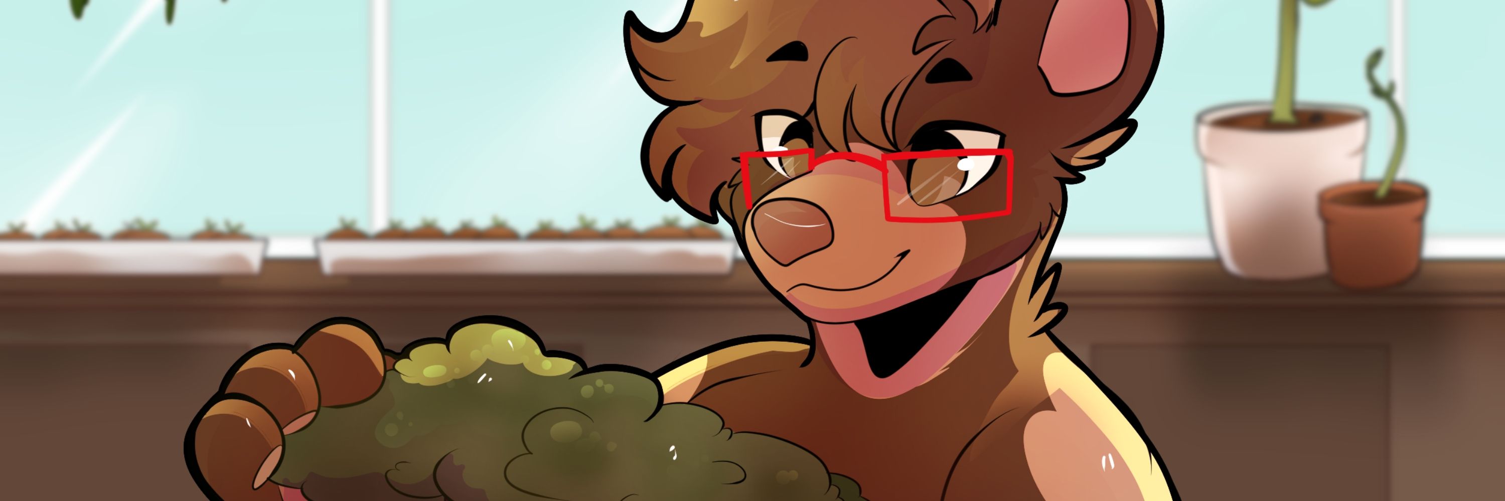 Coda The Bear