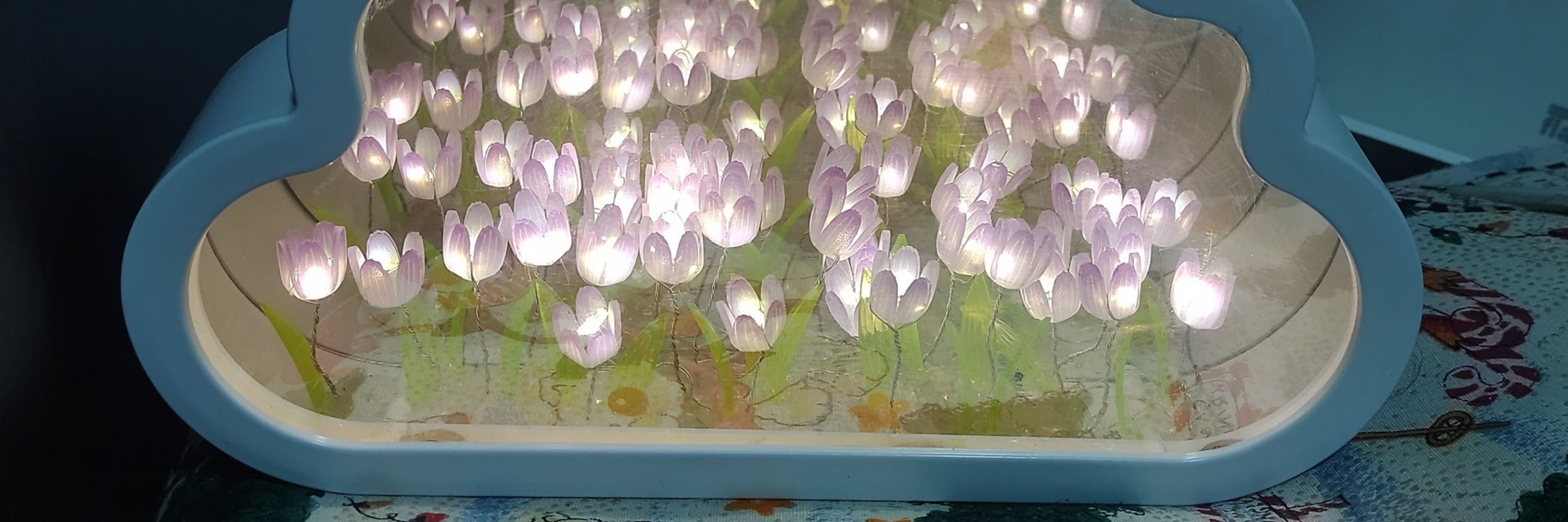 𝐻𝑎𝑟𝑒🌷
