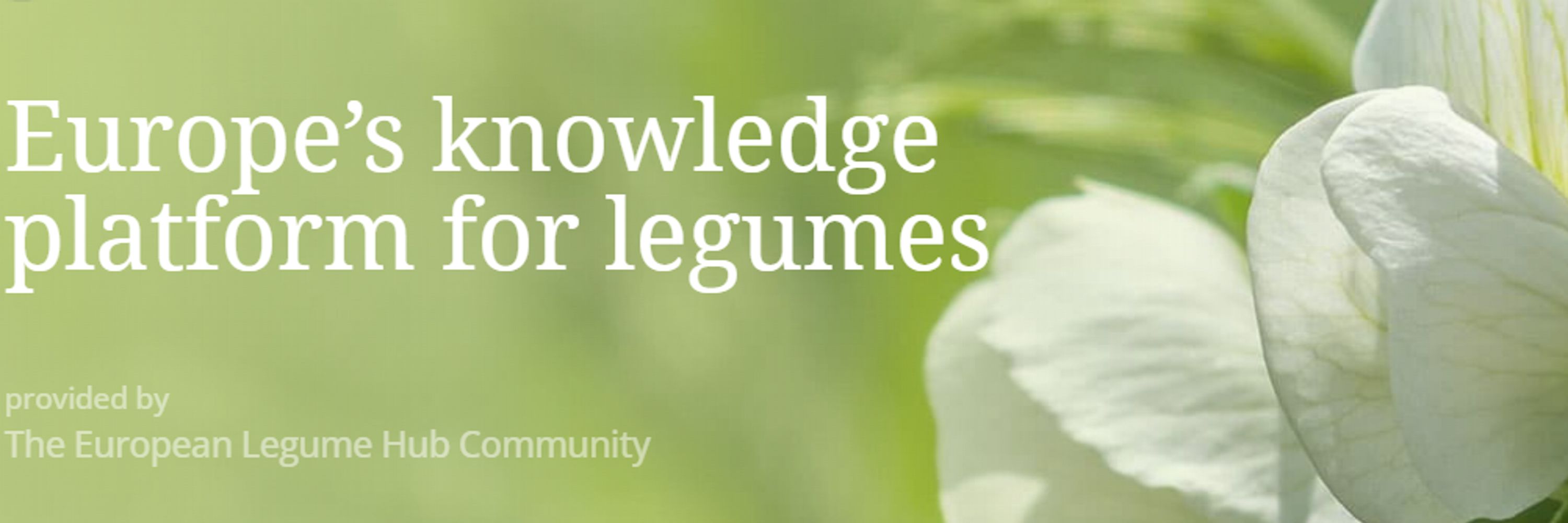 Legume Hub