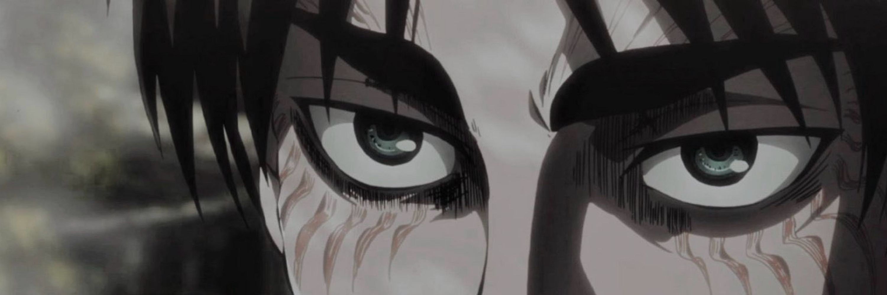 mikasa