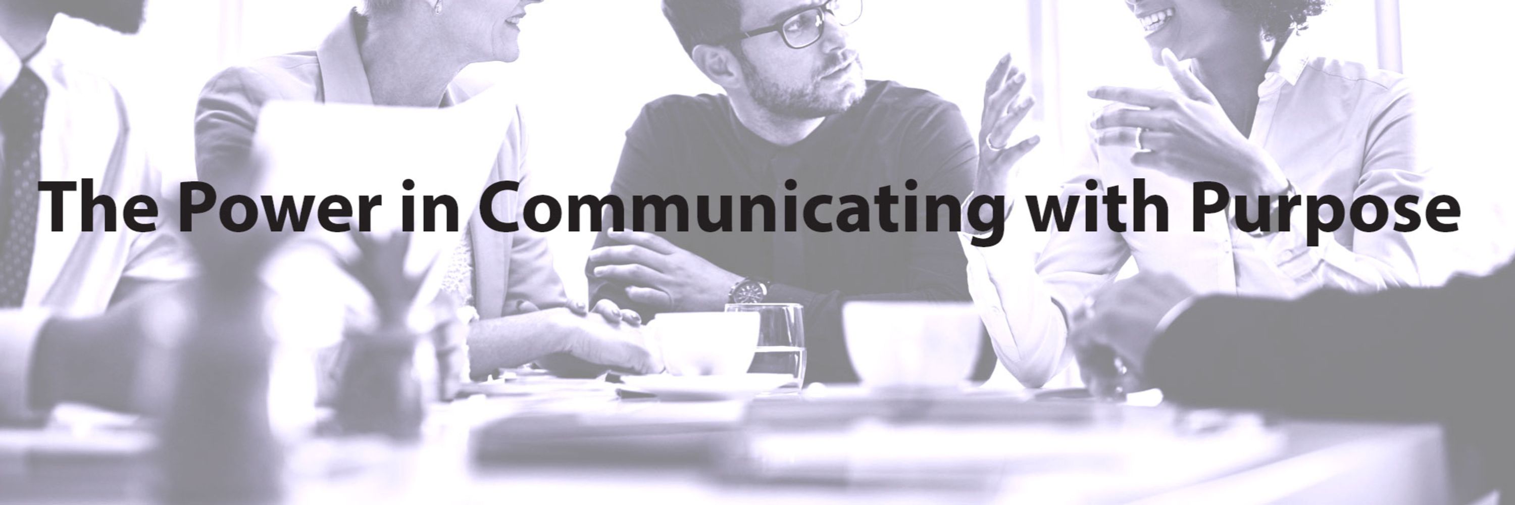 PCM Consulting