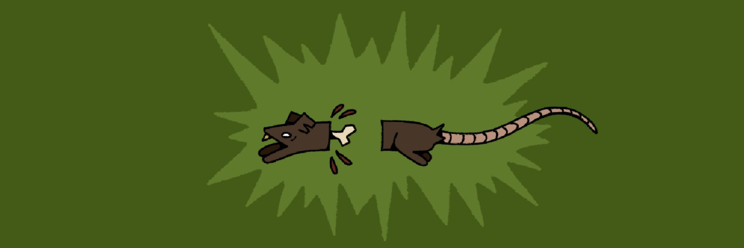 Rattus de Esgoto