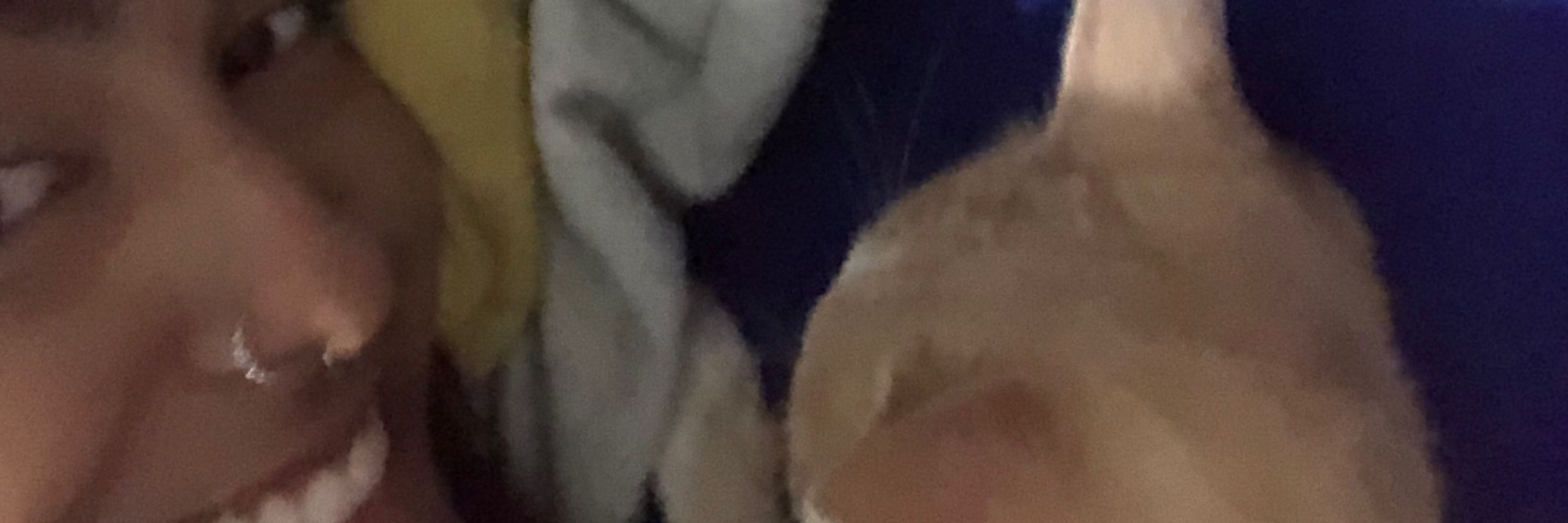 ray