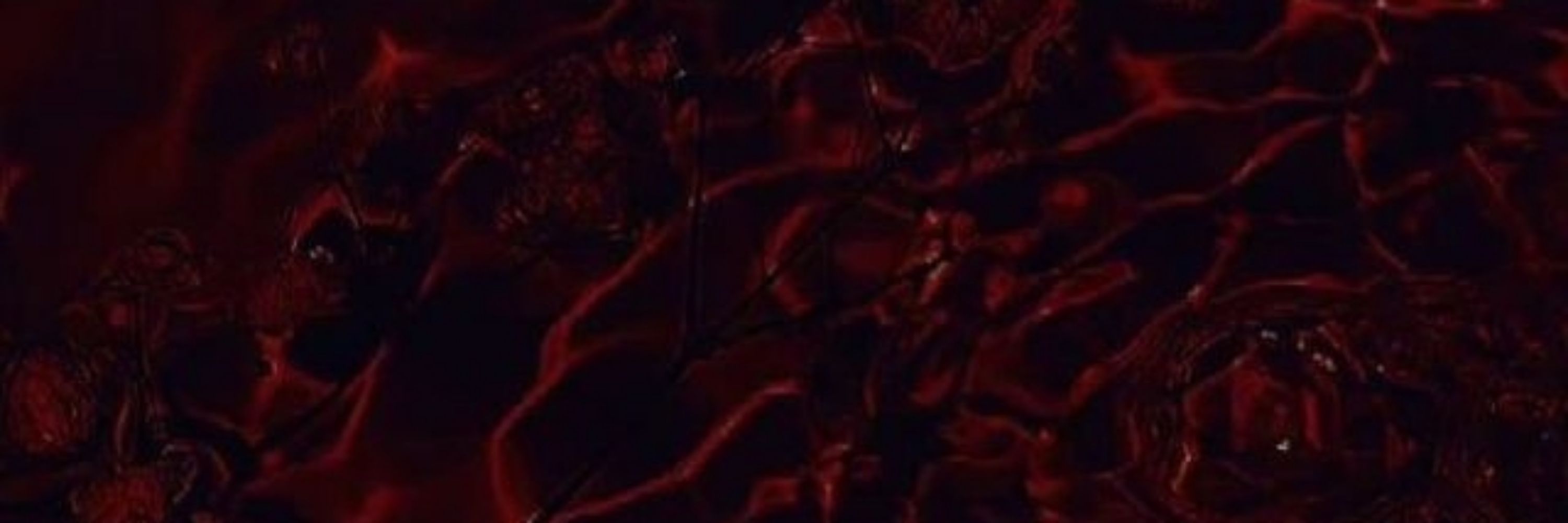🩸🦇 𝕽𝖊𝖓 🦇🩸