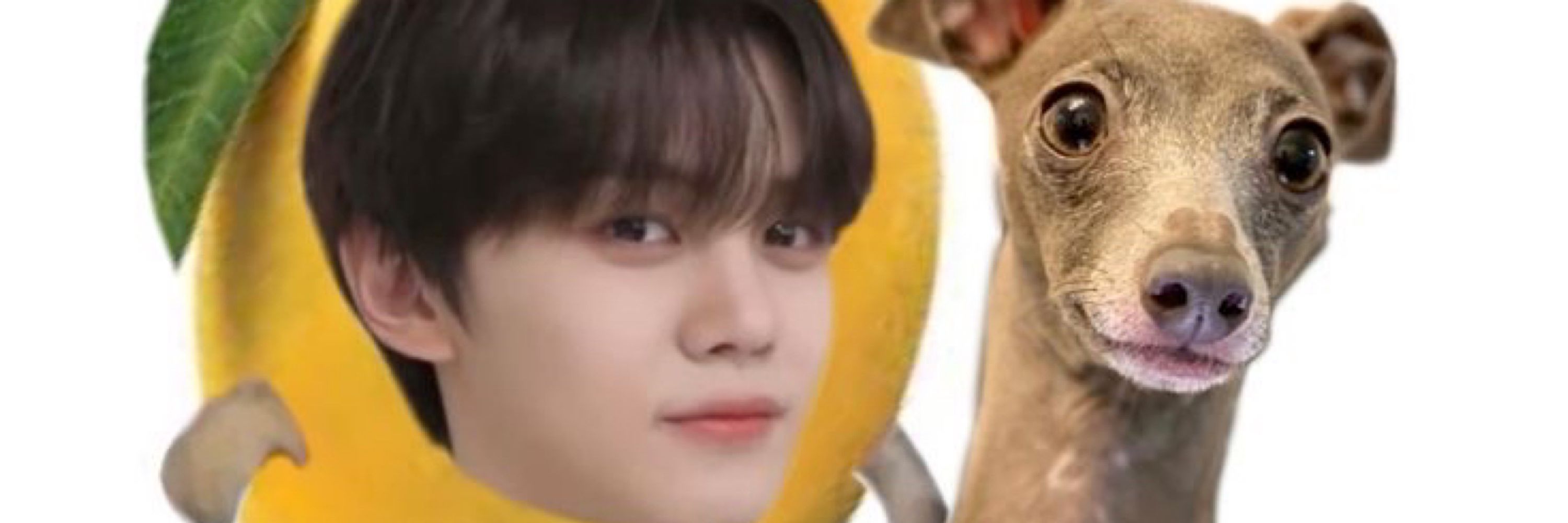 → bella • VIU O ATEEZ