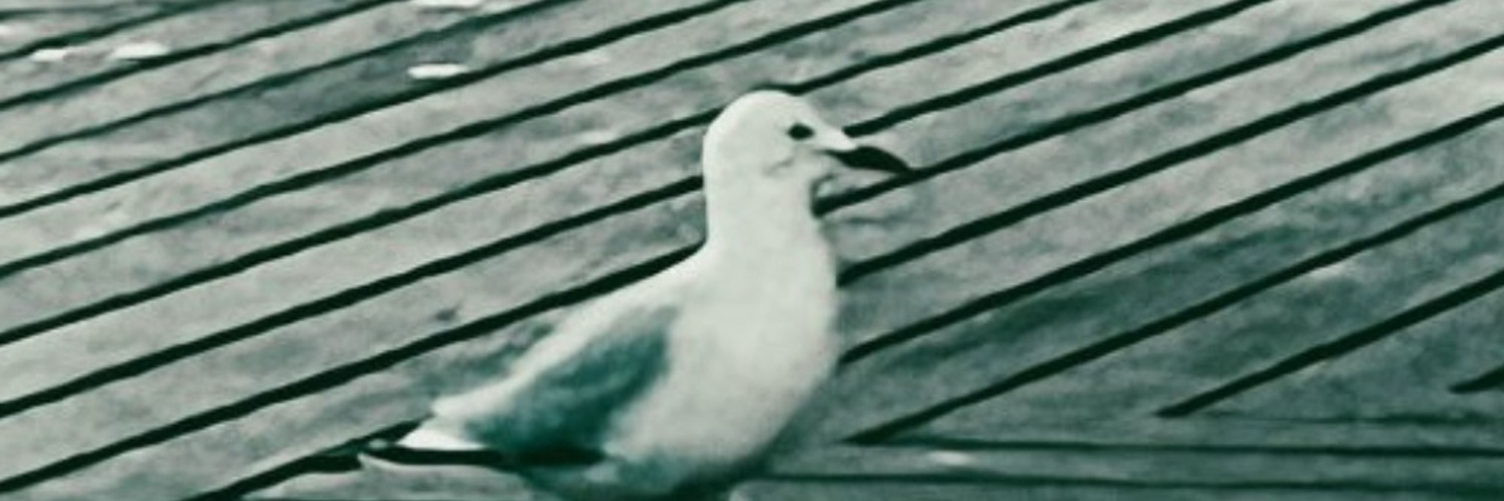 Umbranox