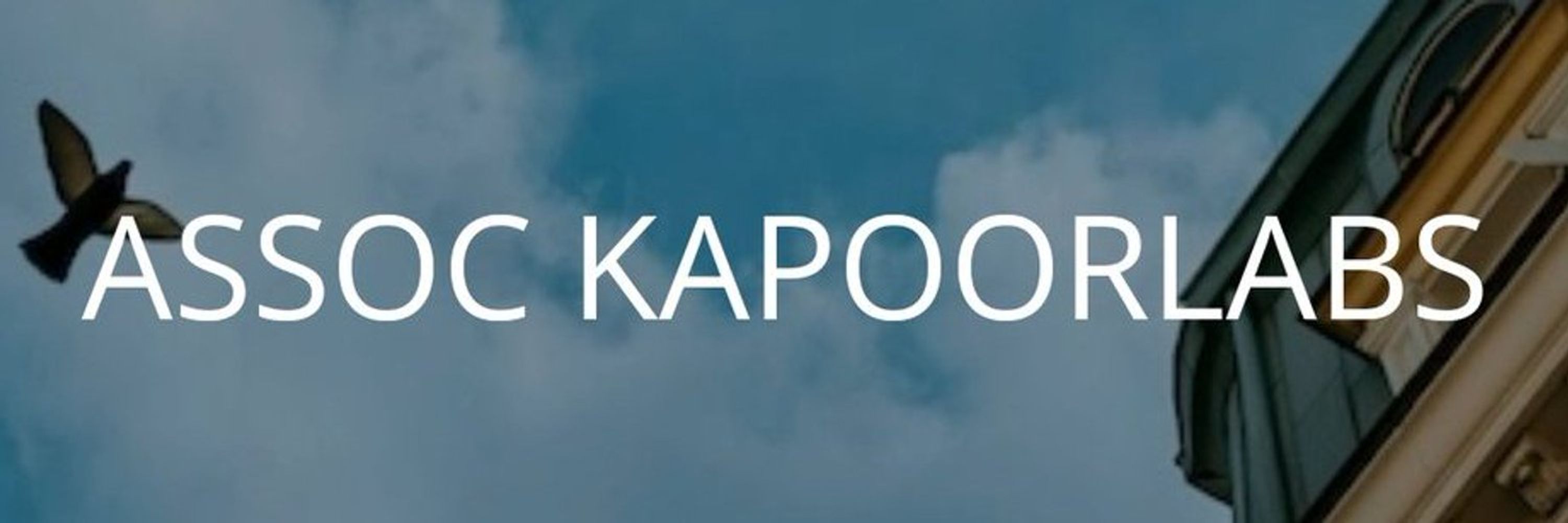 KapoorLabs