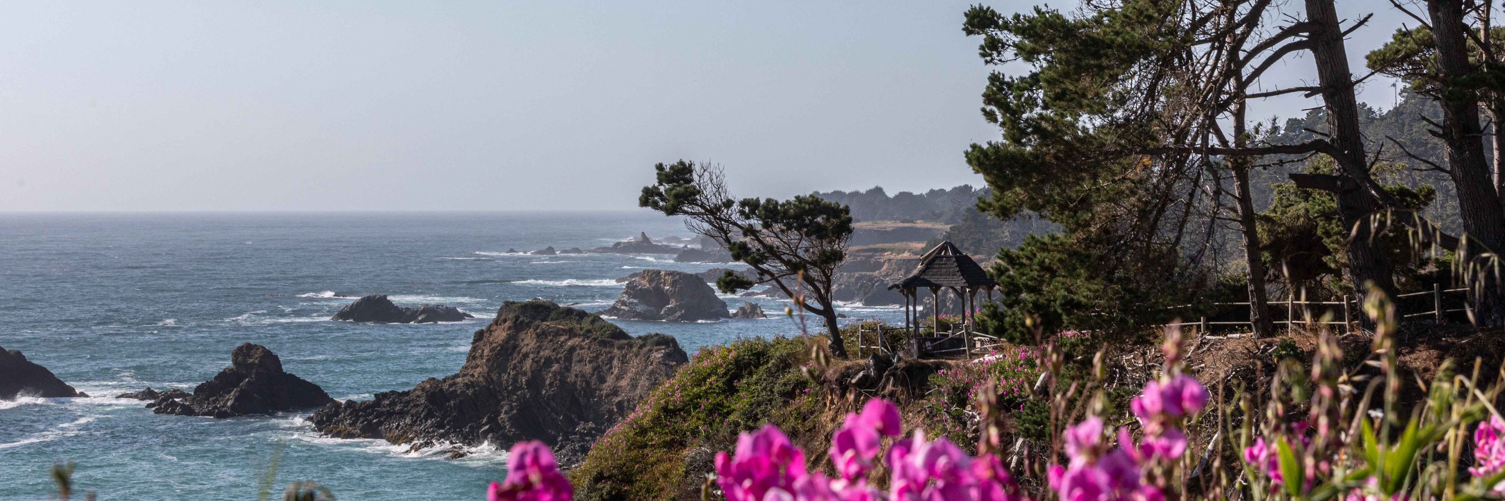 Mendocino Coast Writer's Conference