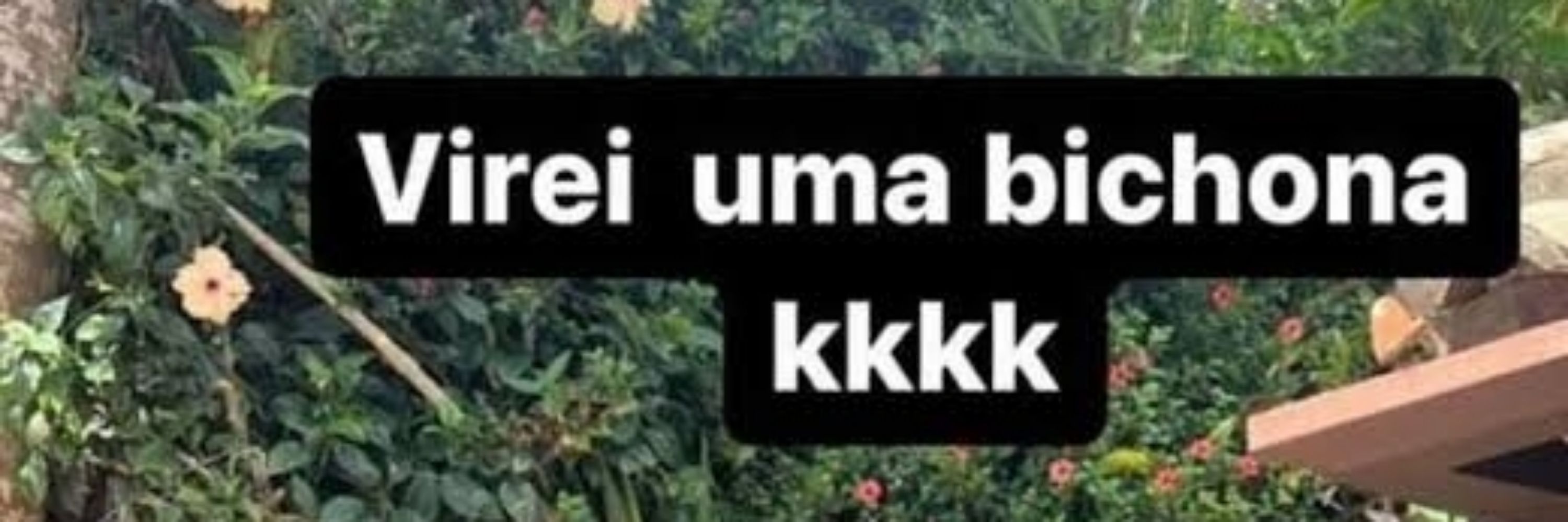 sr risadas III soq do bluesky