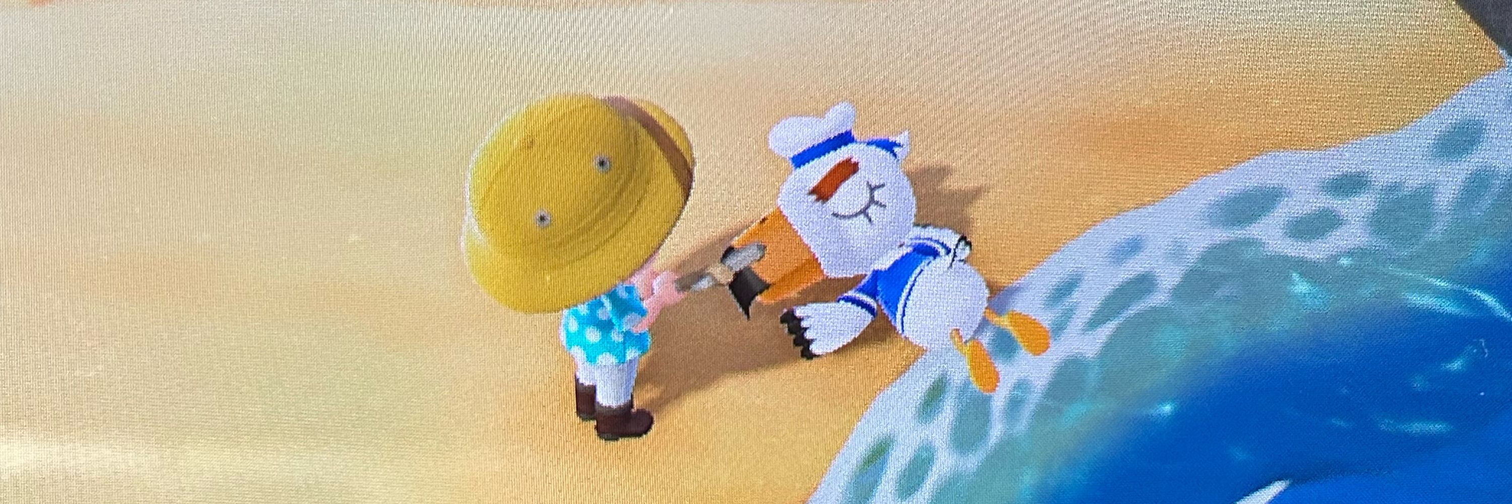 ノギハの日常