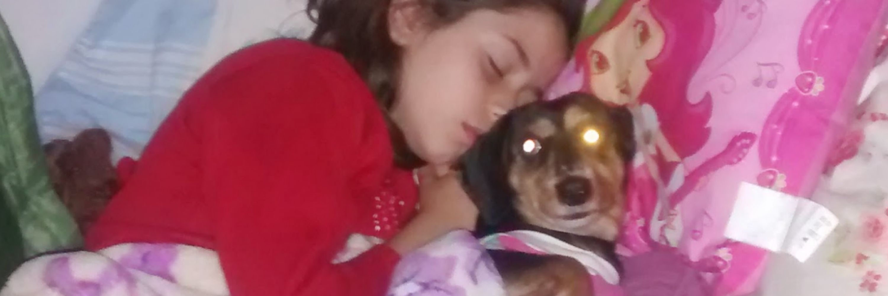 agatchusca