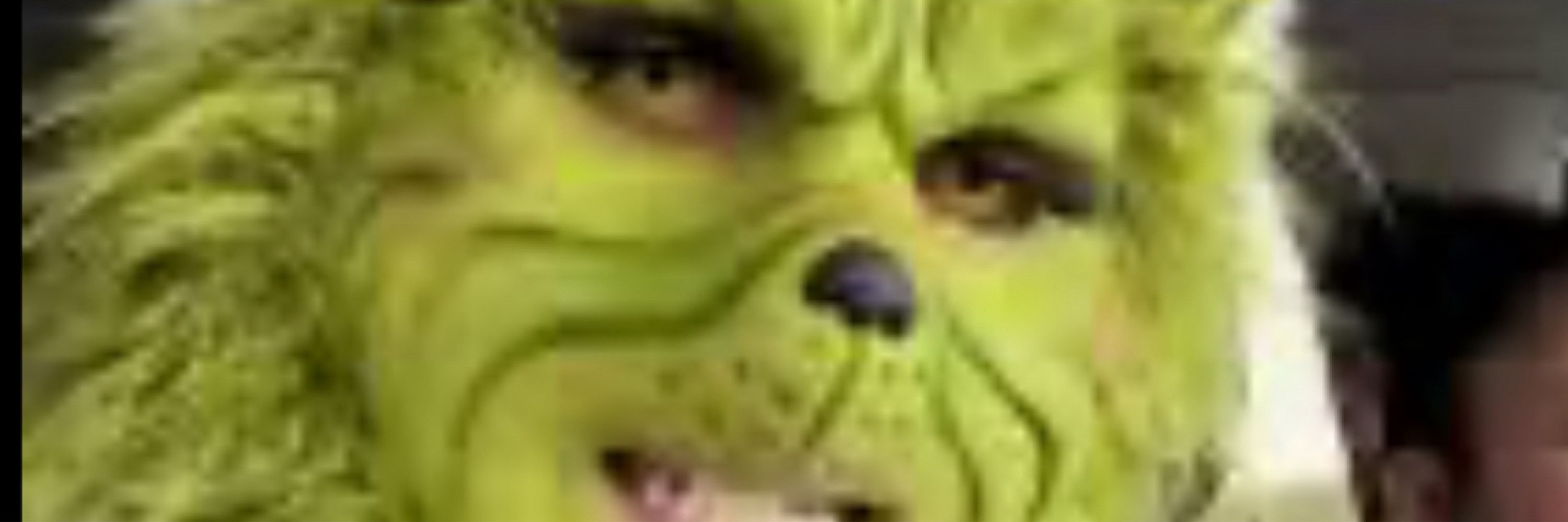 Mr. Grinch
