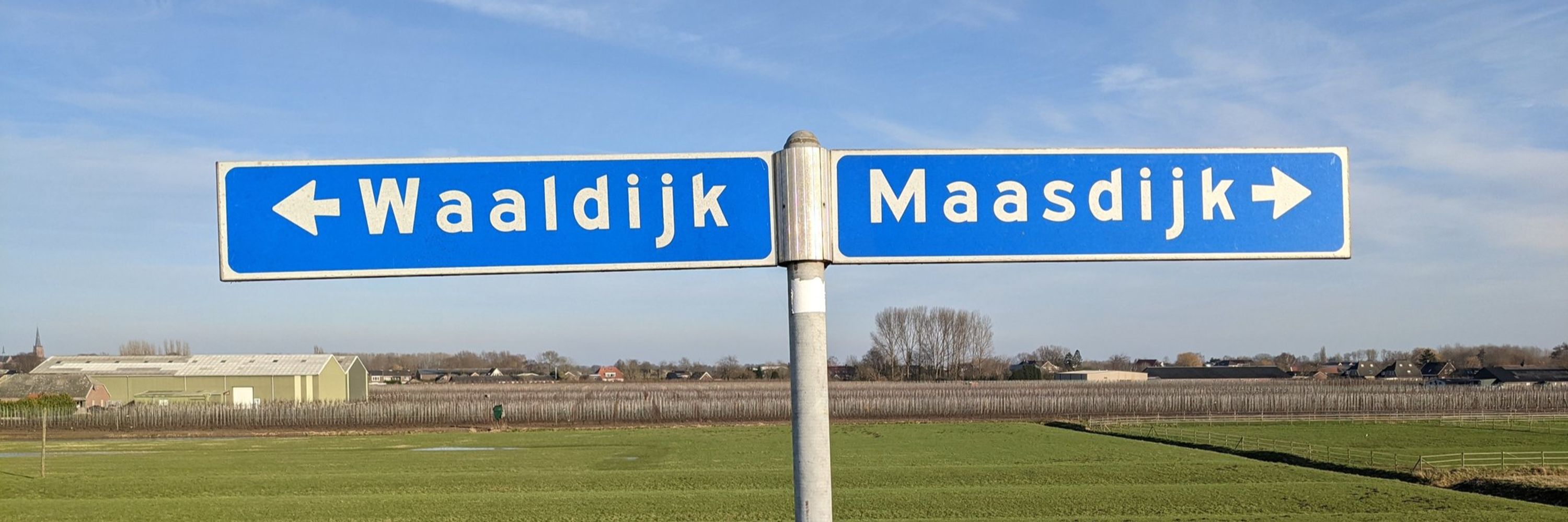 Ruud den Blanken