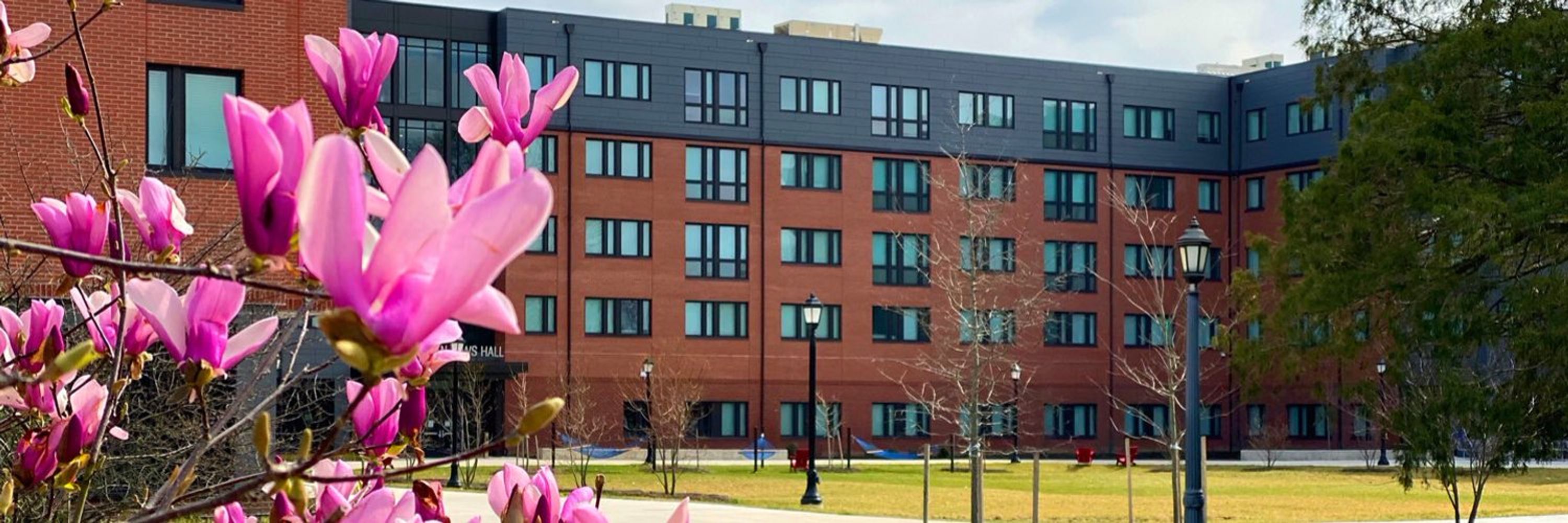 Delaware State University