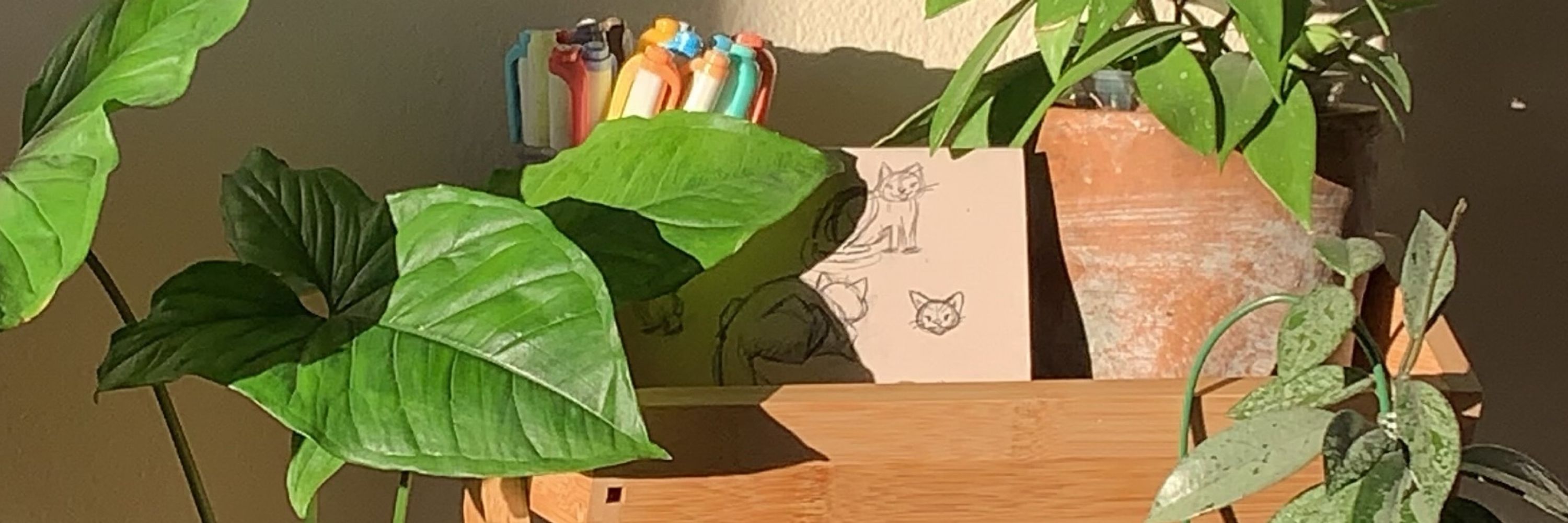 Daniela 🧸🌱