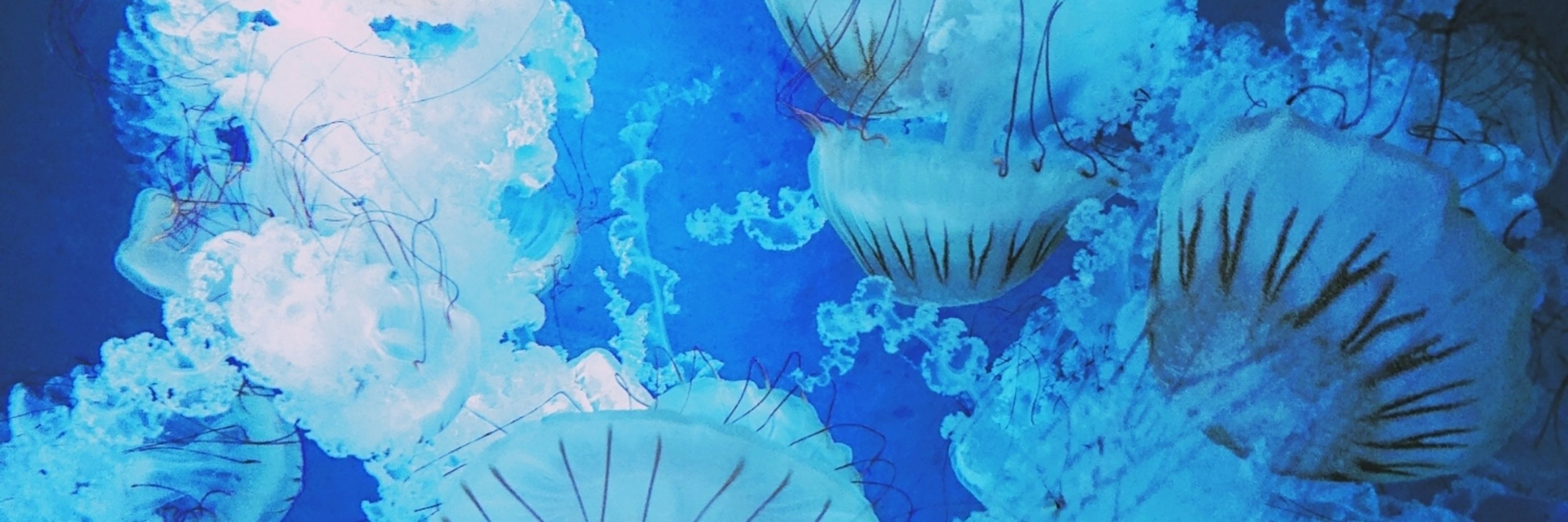 はなろくしょ〜