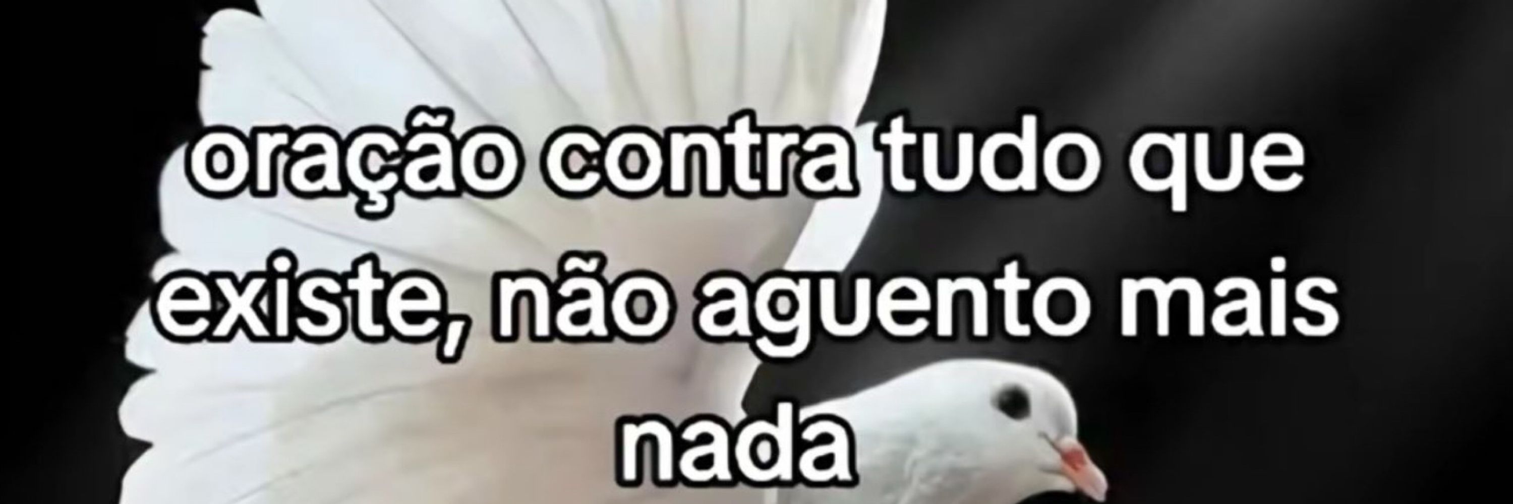 Vitorinha 