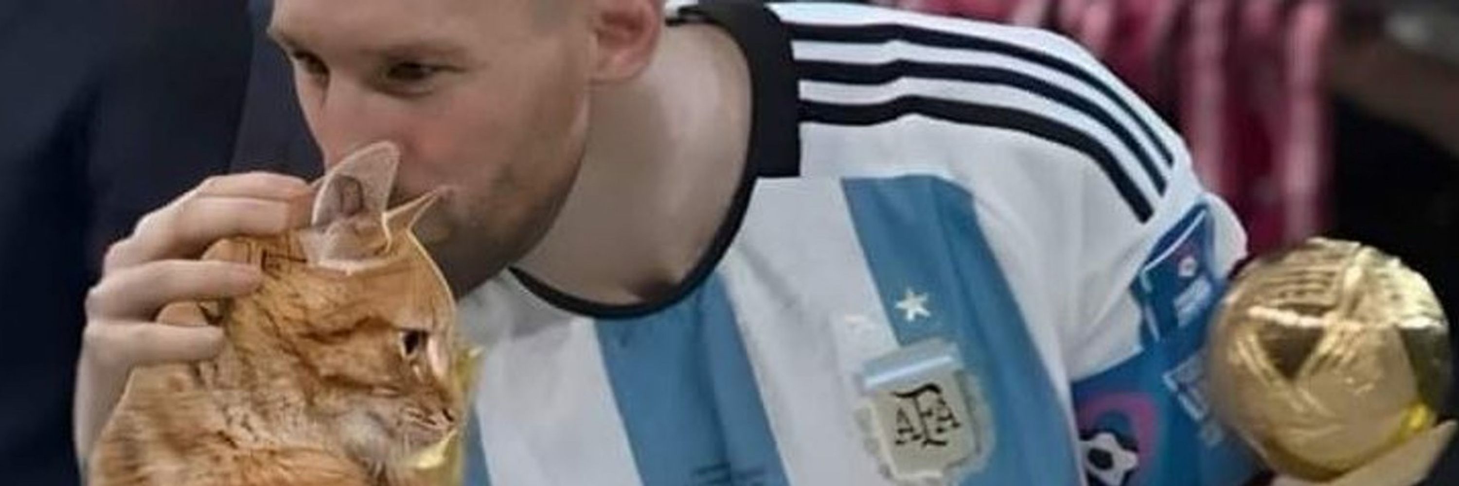 fefa la jefa 