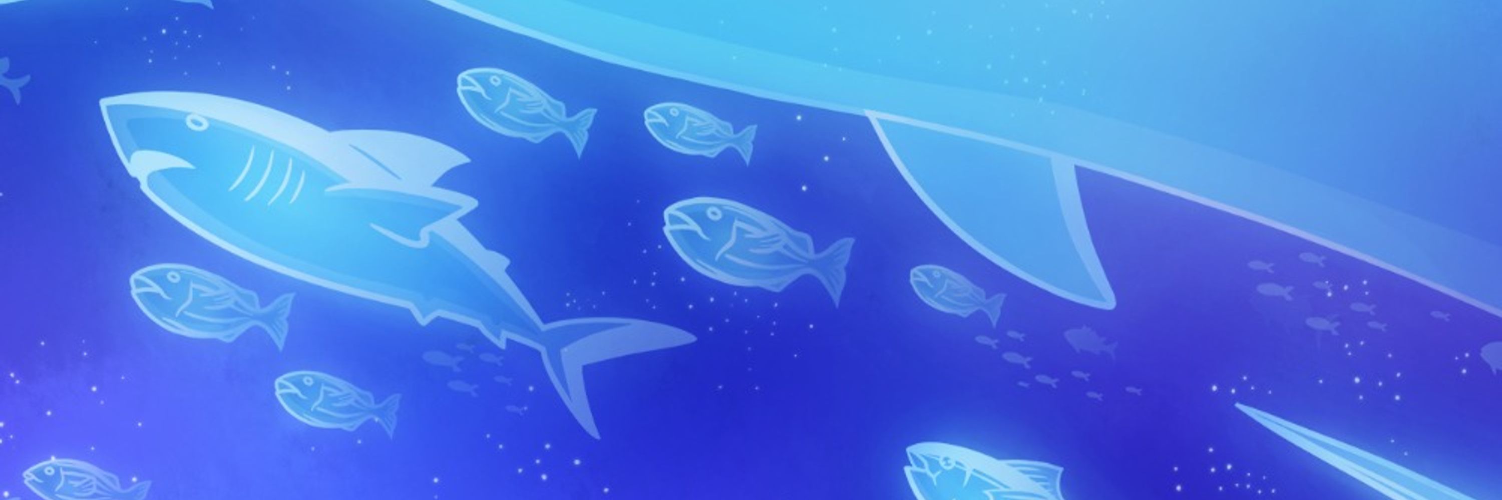 Swim