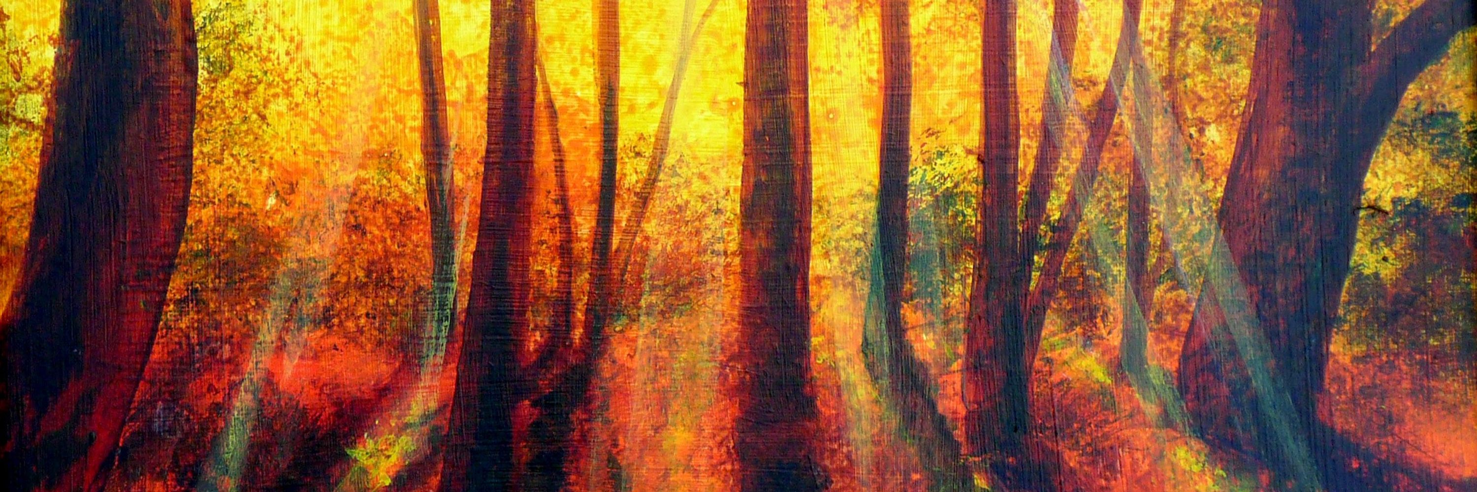 Matthew J Mills