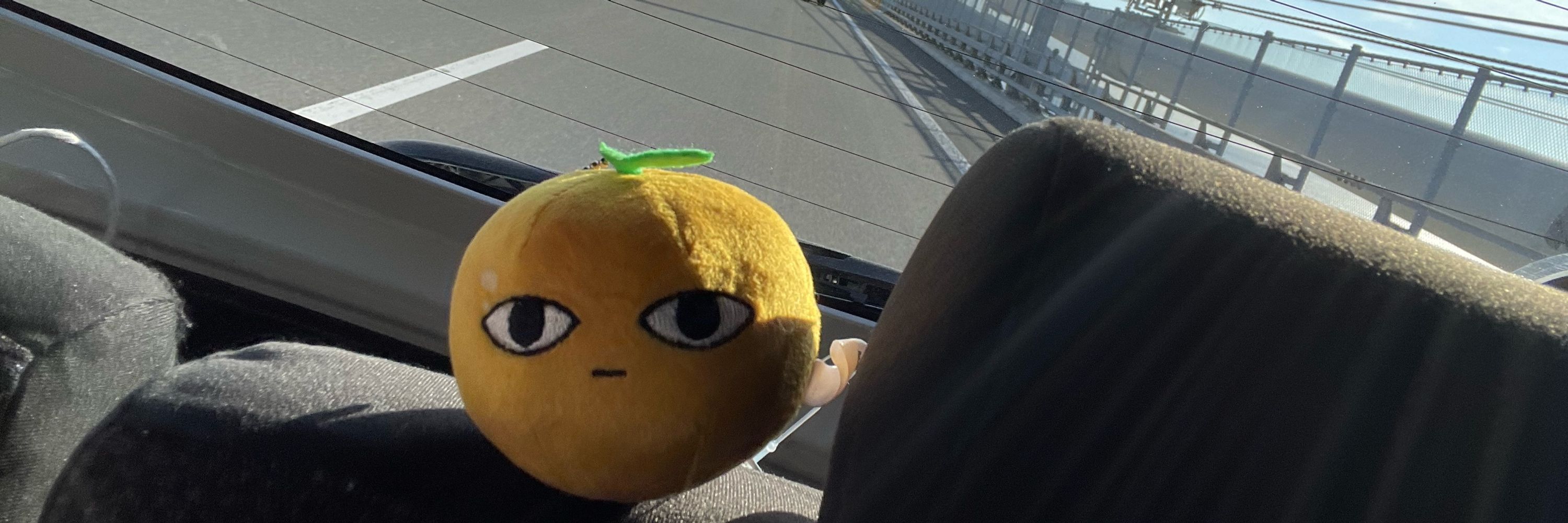 とよだ