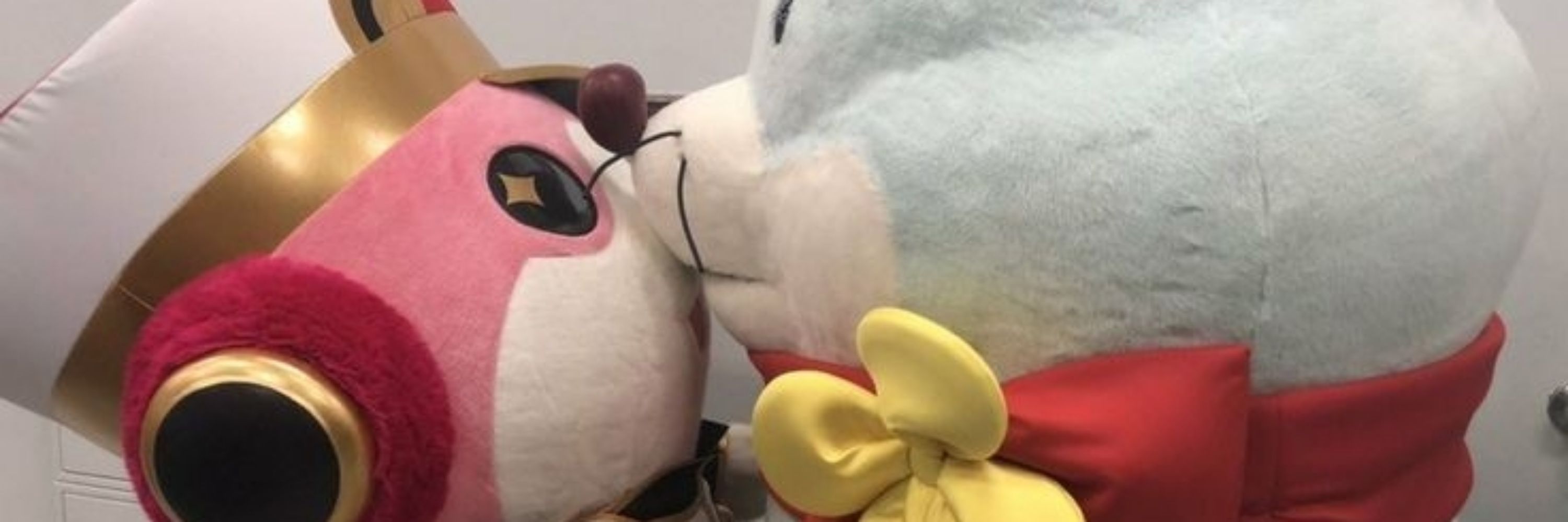 reirei🦔