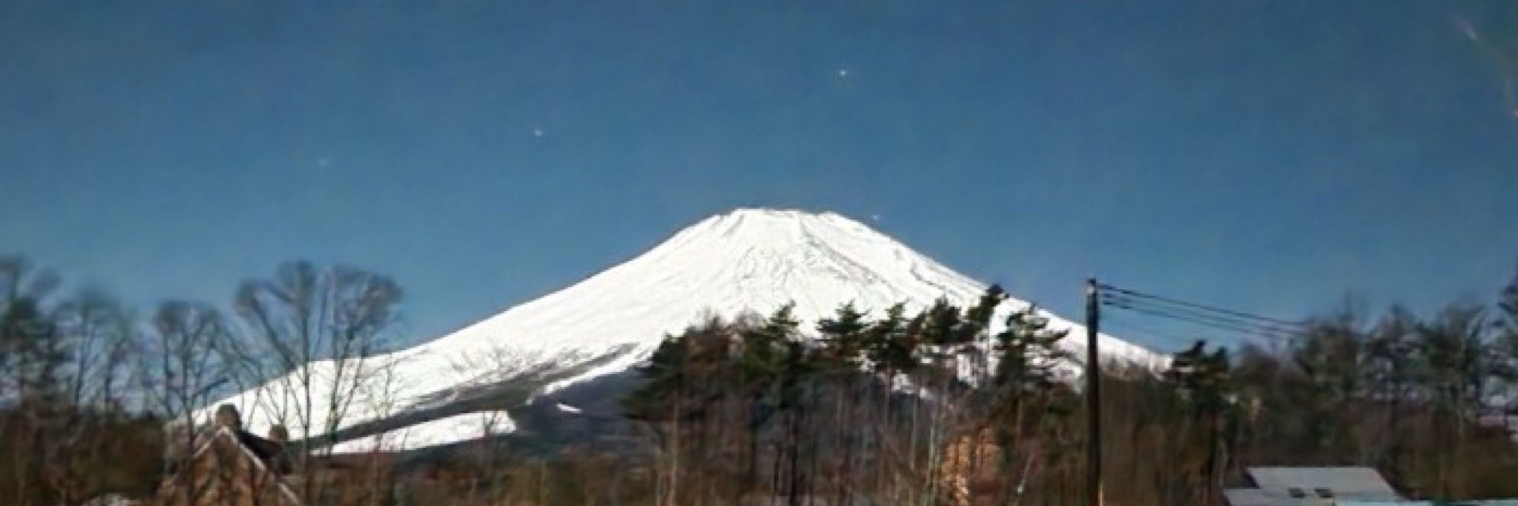 Koh