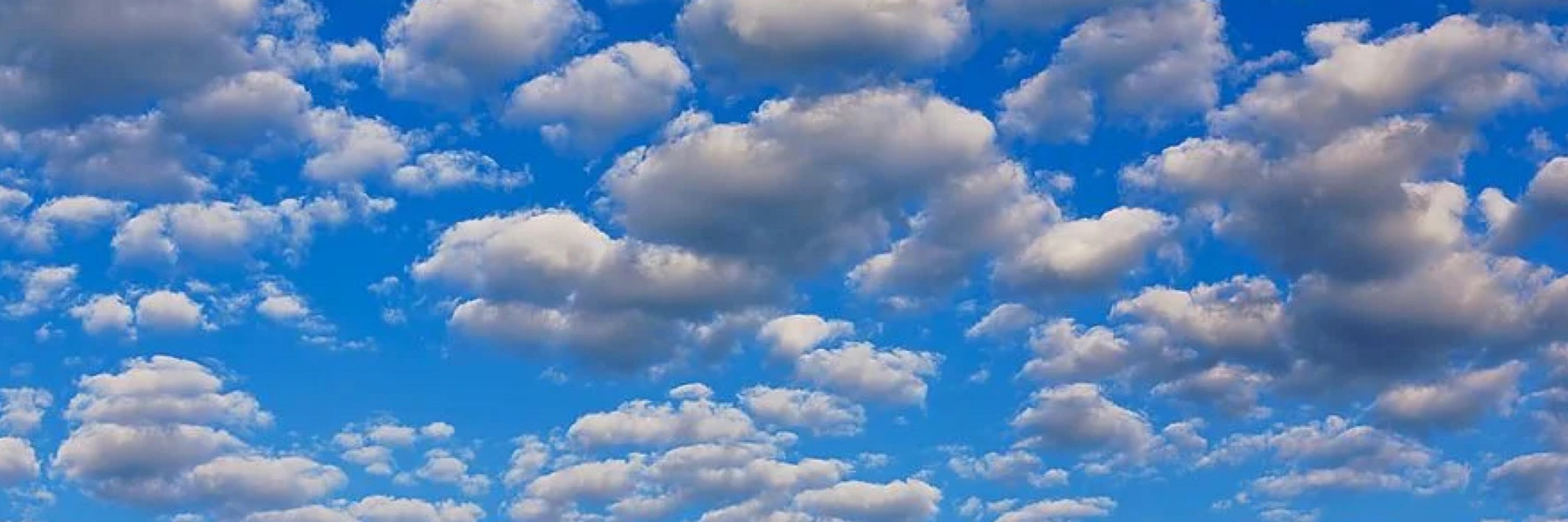 Bluesky Elders