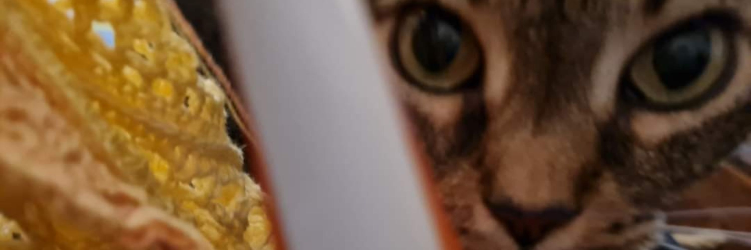 Fluggsgewirk