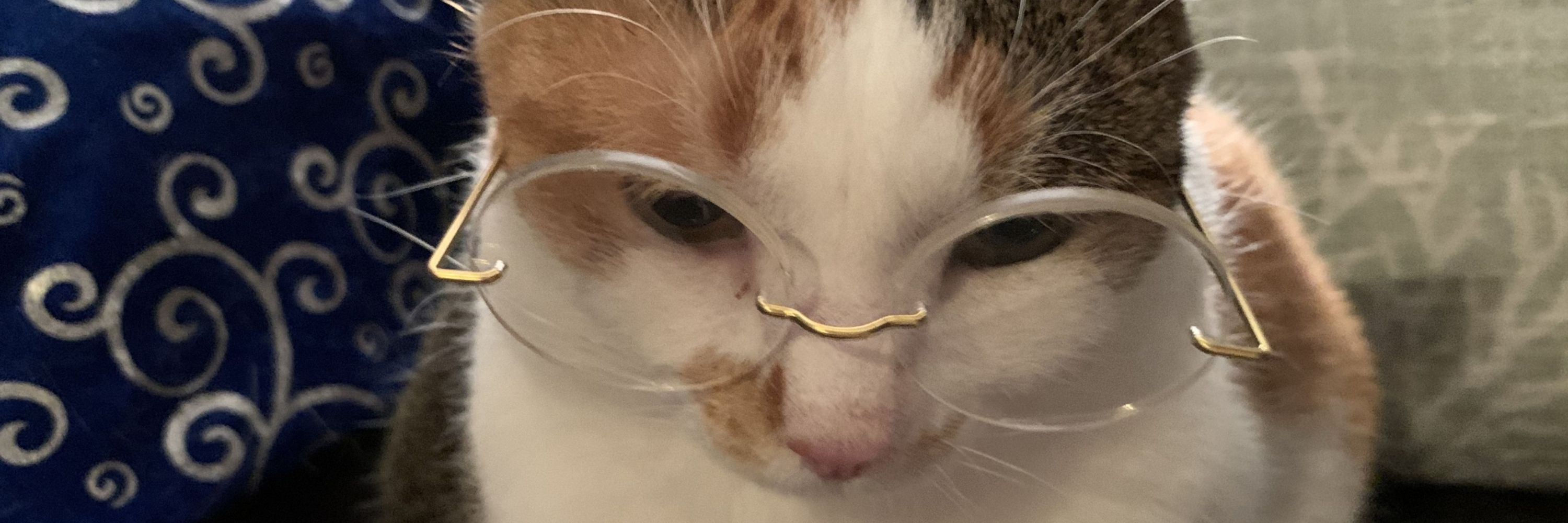 AshJesterKitty🎭
