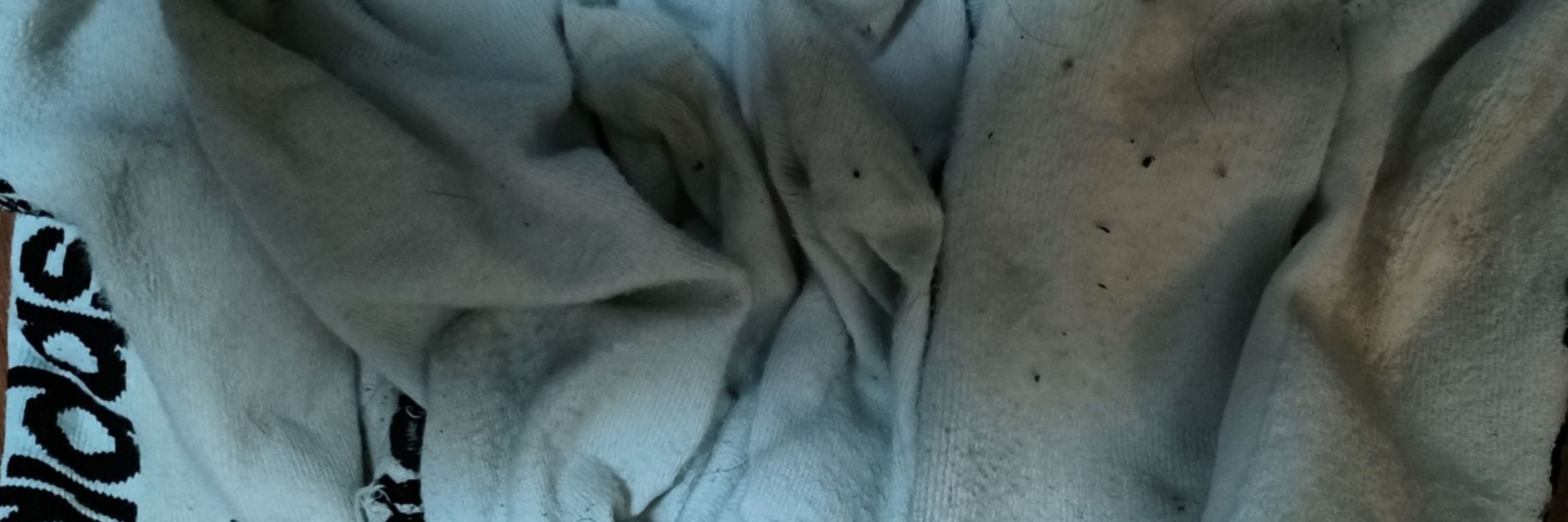 阿池