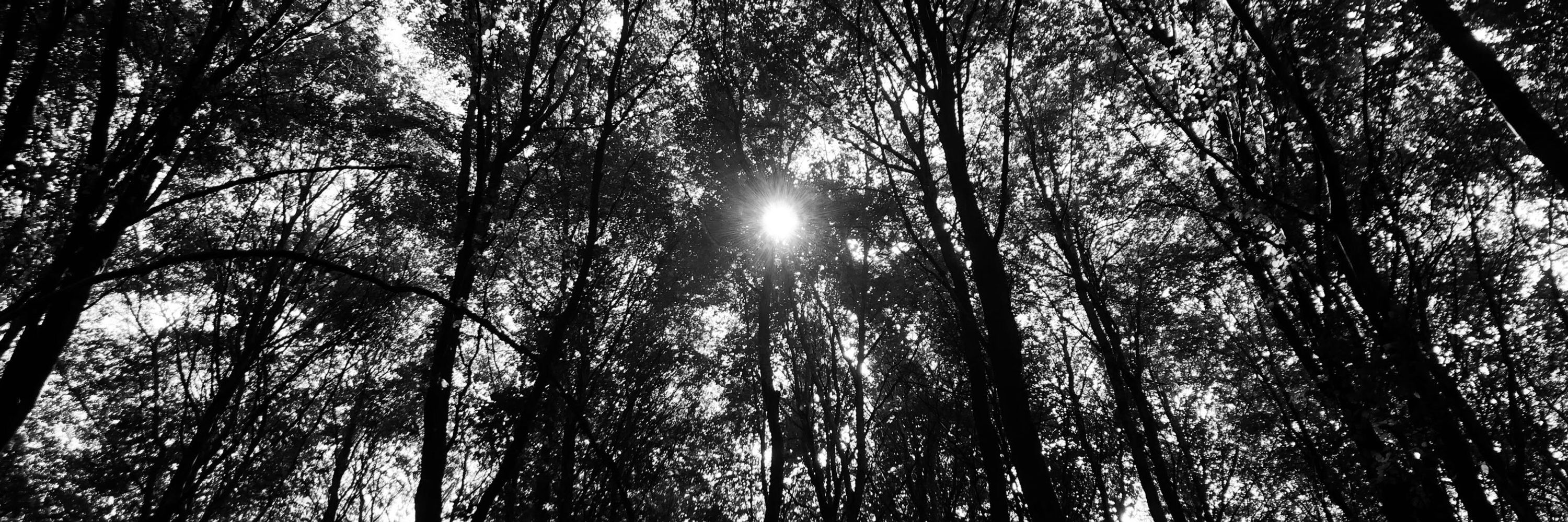 Farbentod 