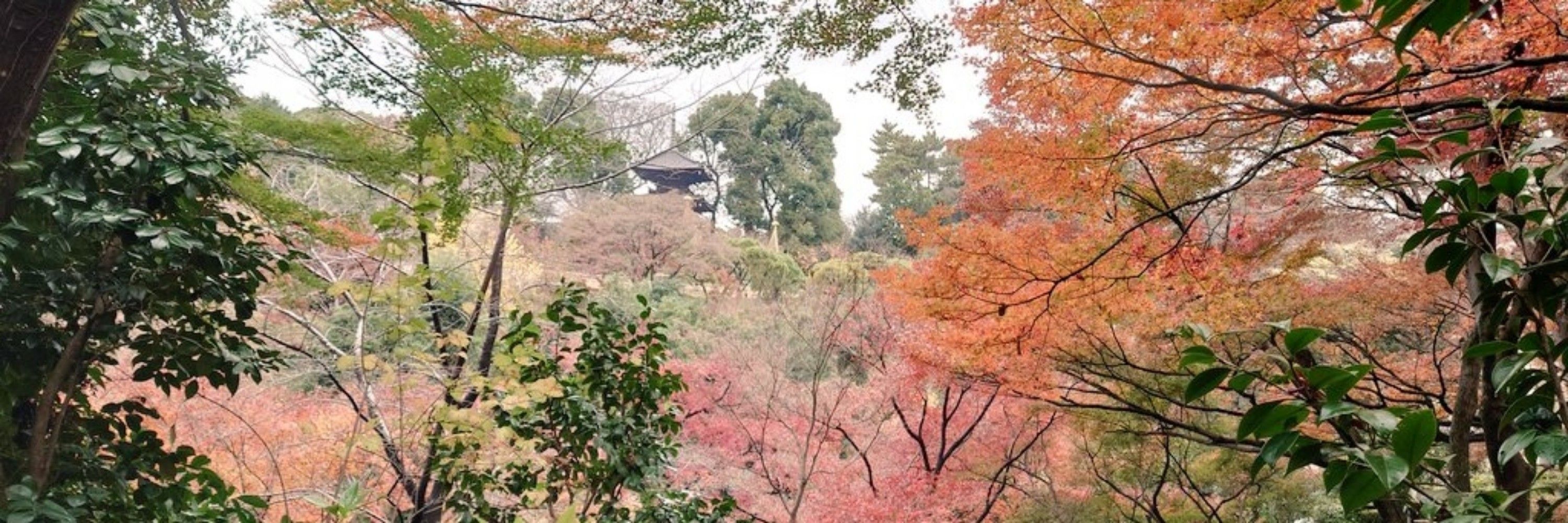 お昼寝