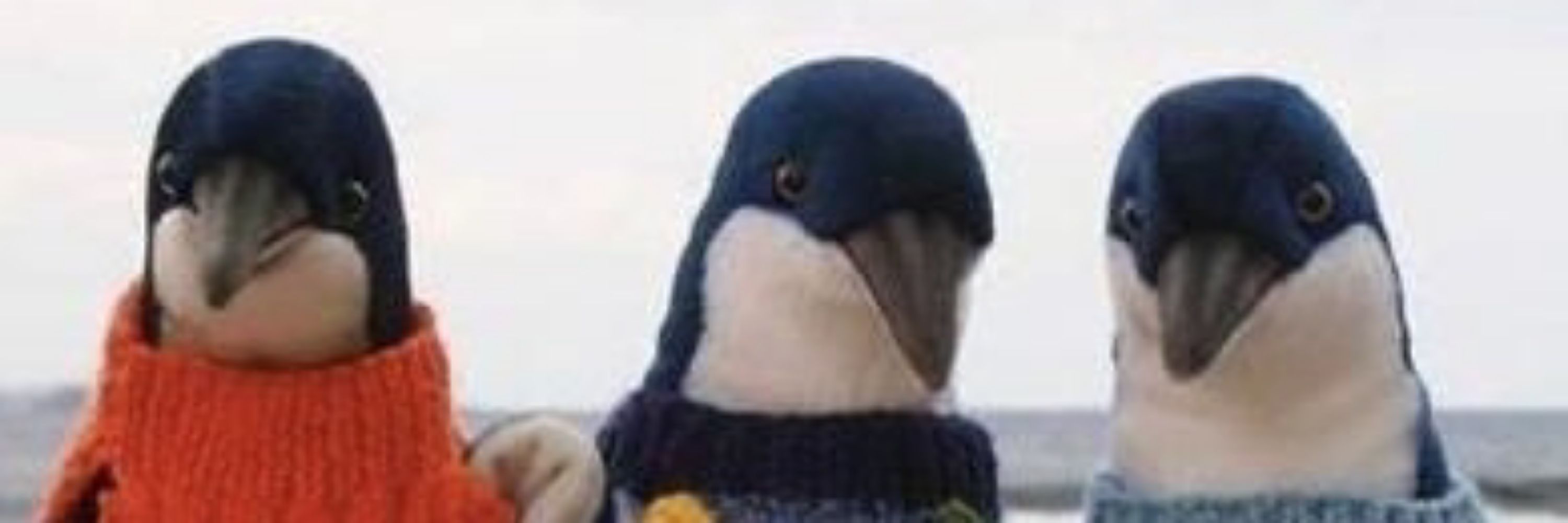 PinguimComSono