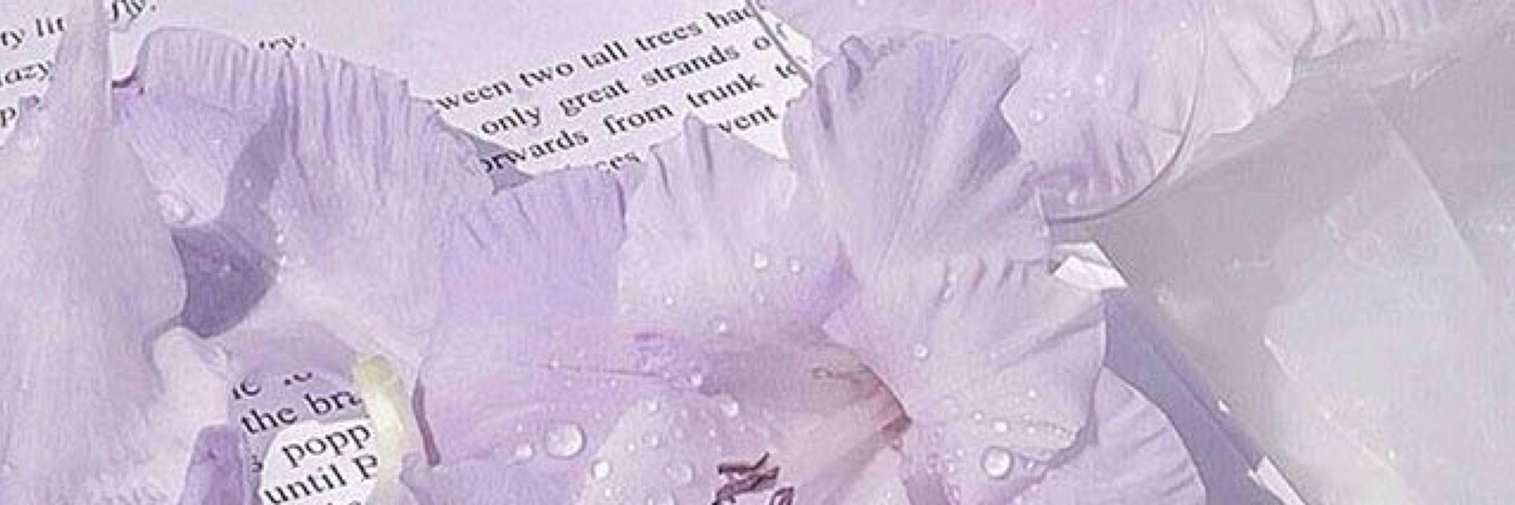 별 ⋰˚✩