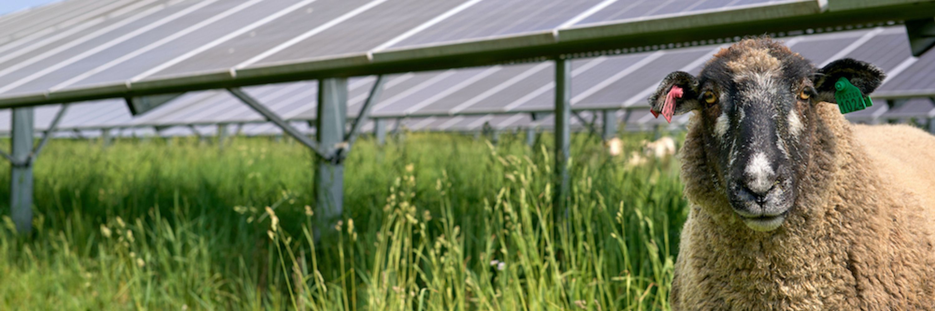 PA Solar Center