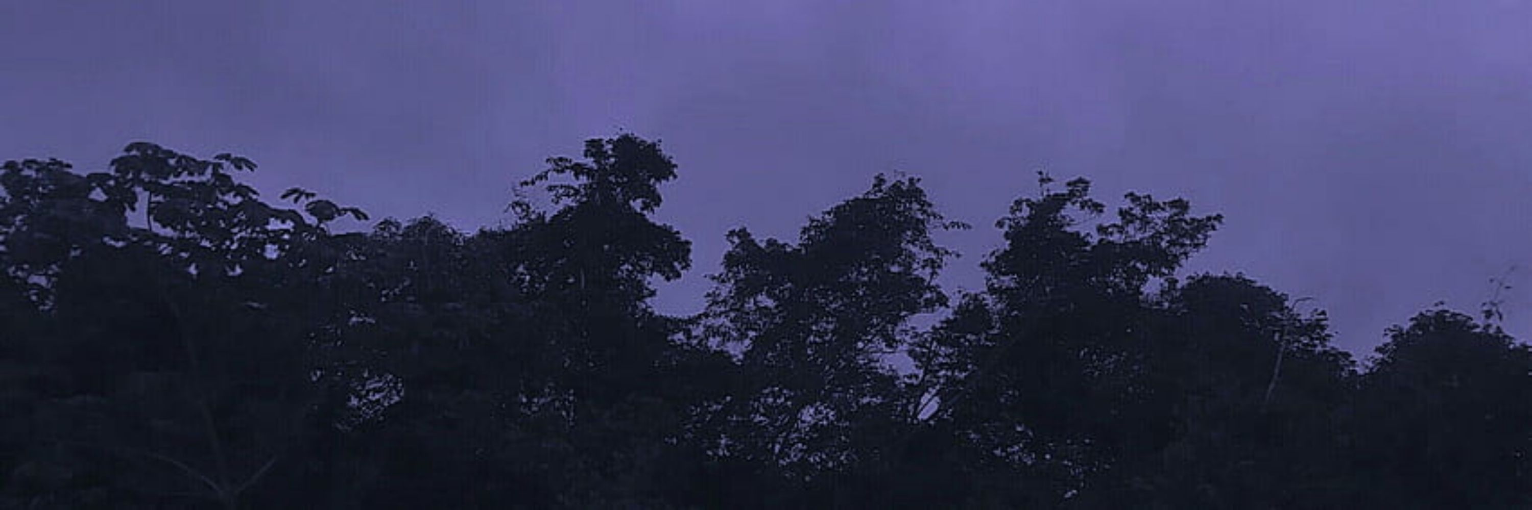 𝕓𝕣𝕚𝕒𝕟