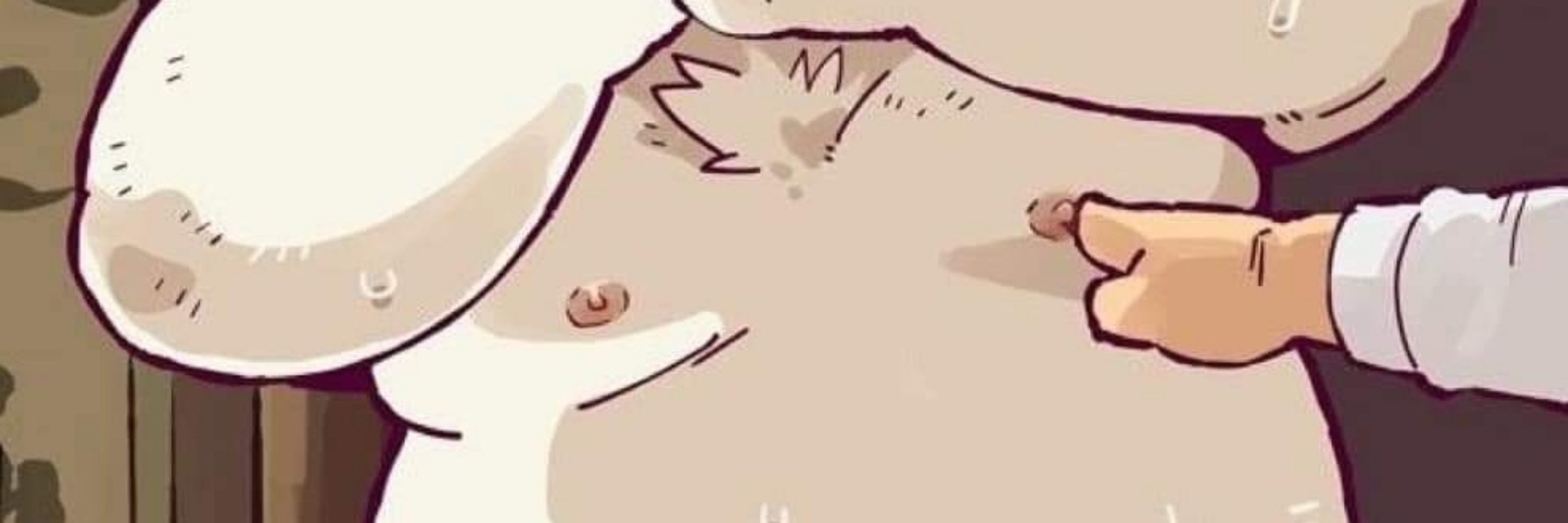 Cansyrchubbear