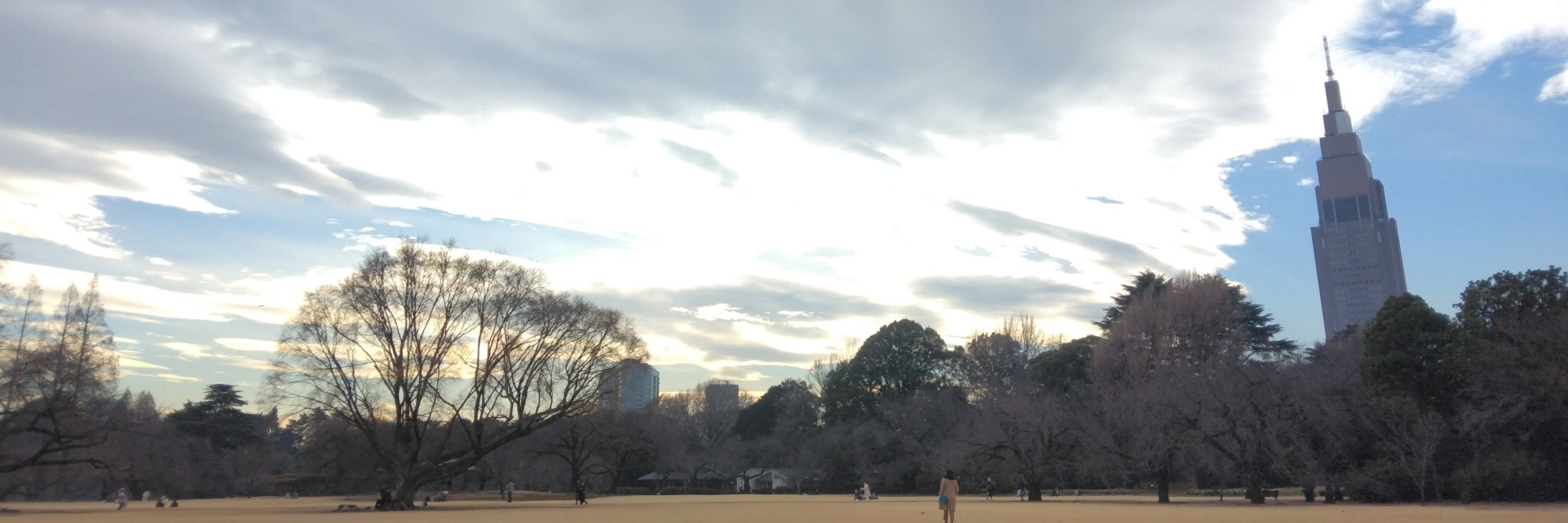 小鞠