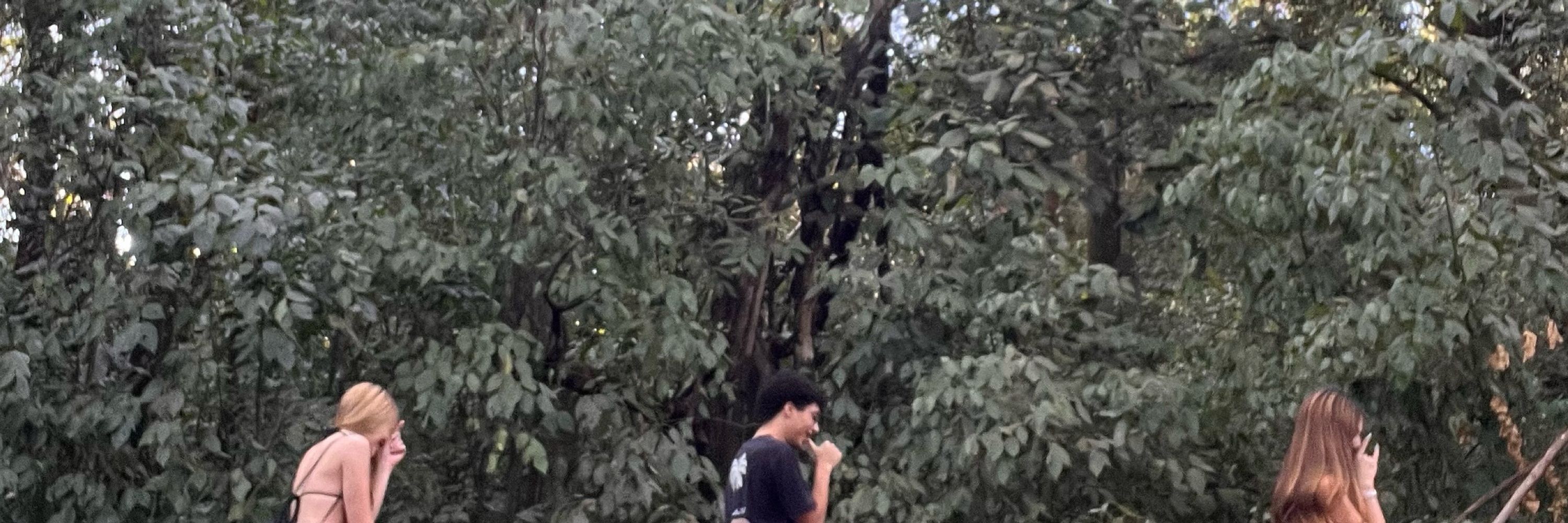 pedro rabelo