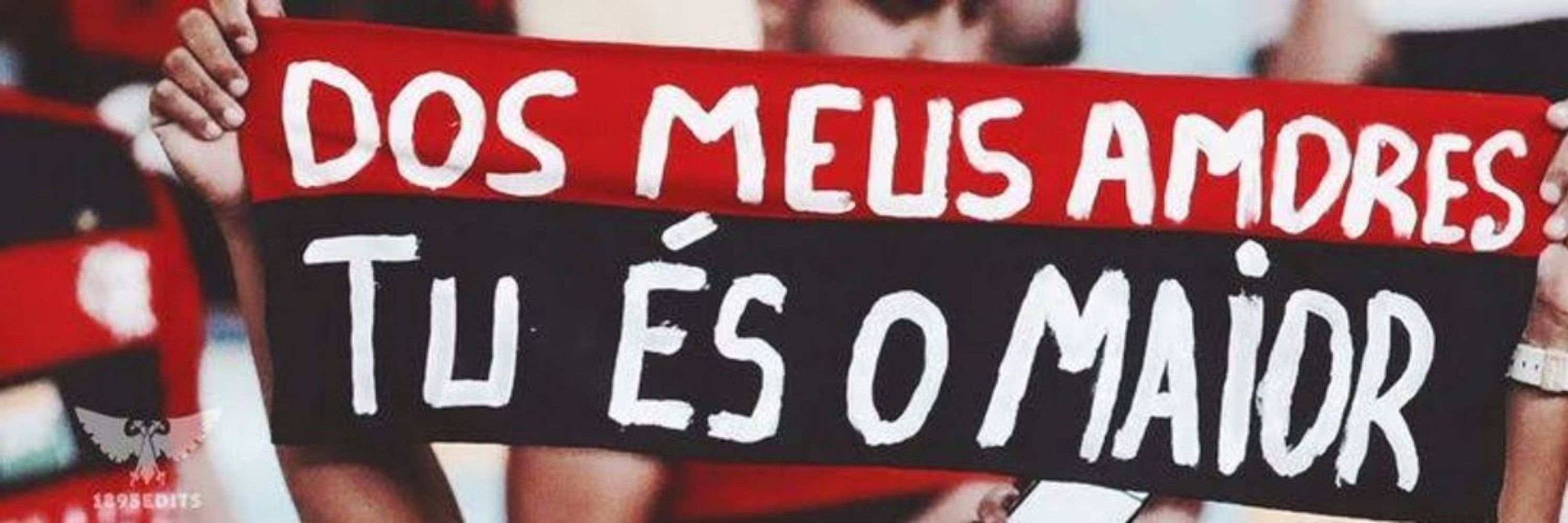 Gatri da América 