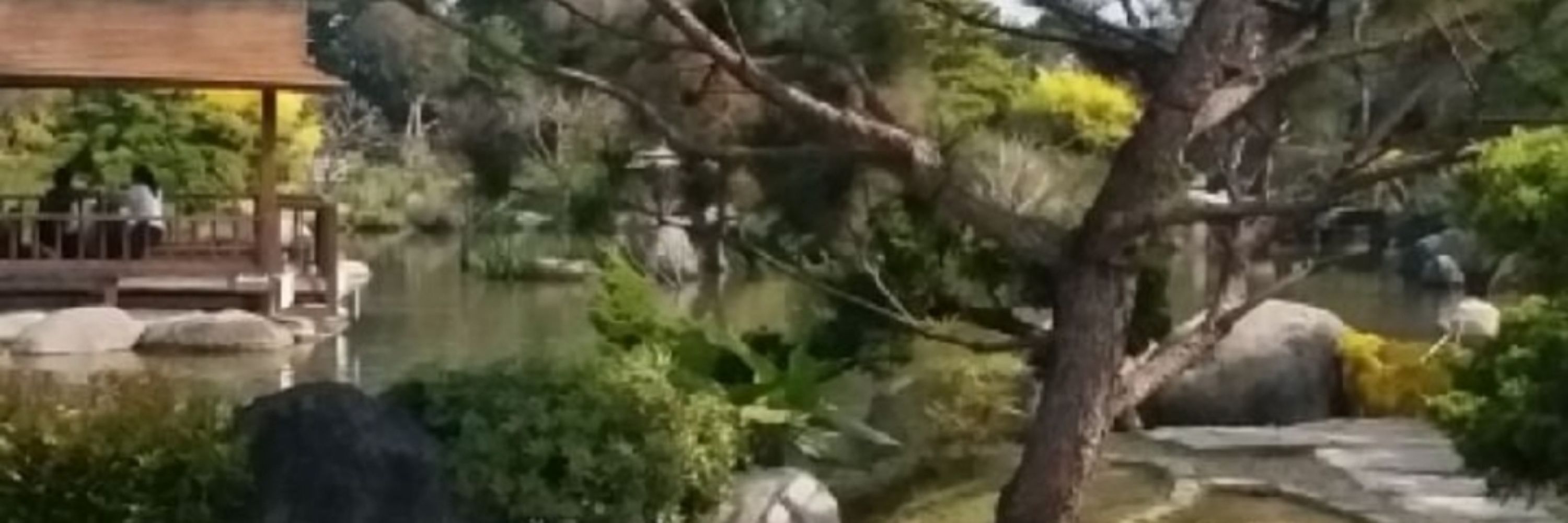 逍遙
